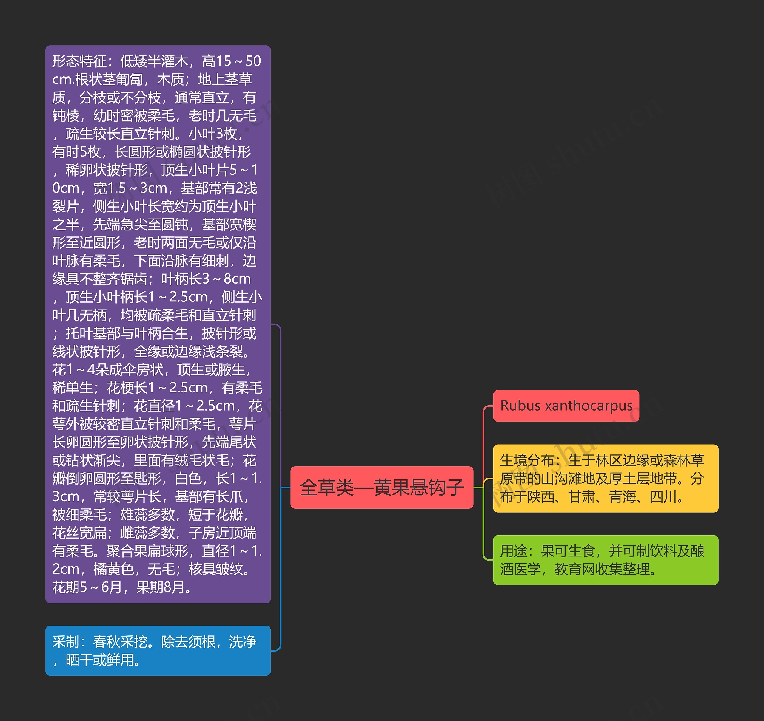 全草类—黄果悬钩子