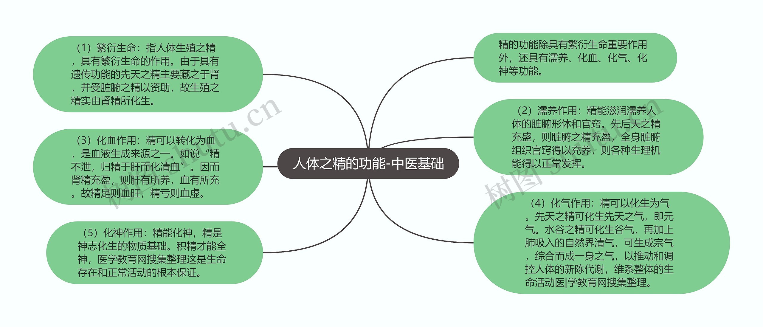 人体之精的功能-中医基础思维导图