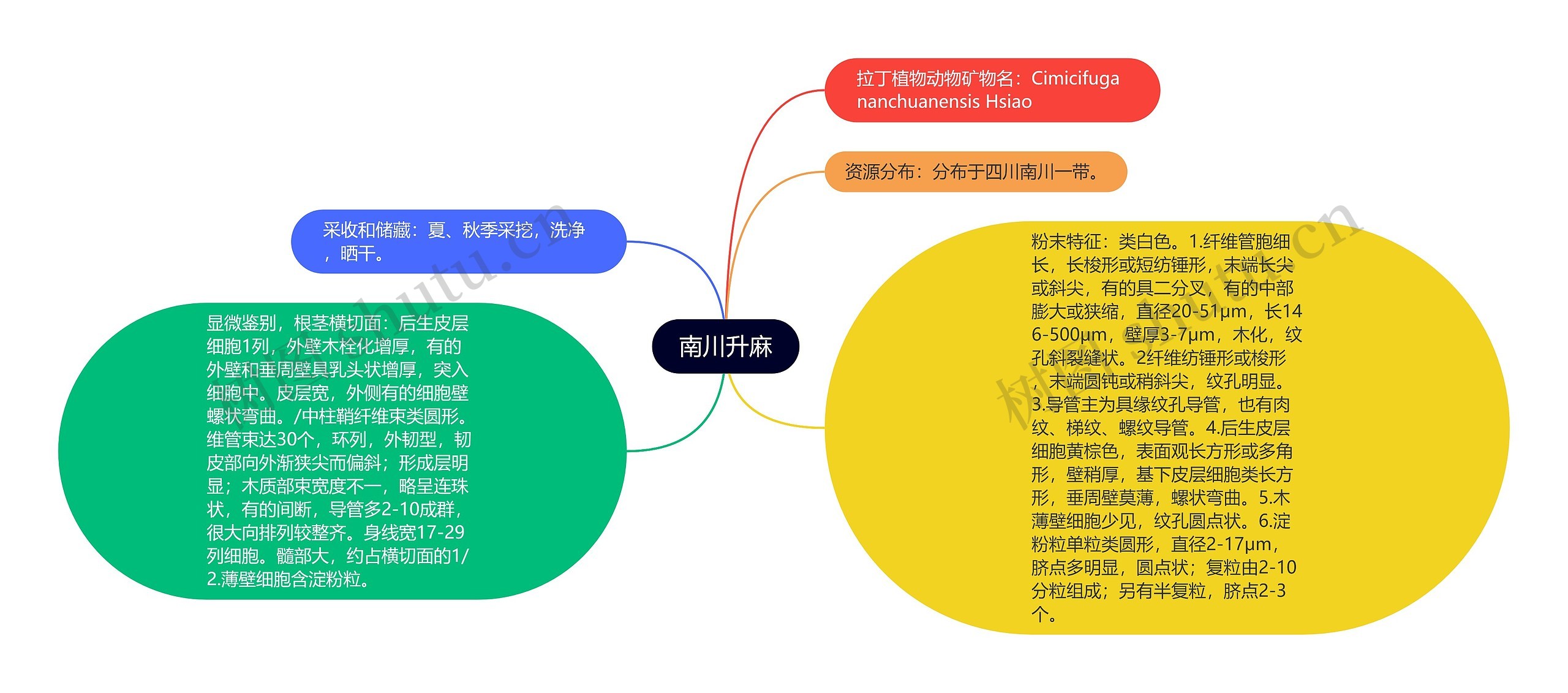 南川升麻思维导图