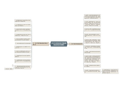2022年深圳市医疗事故赔偿标准项目有哪些