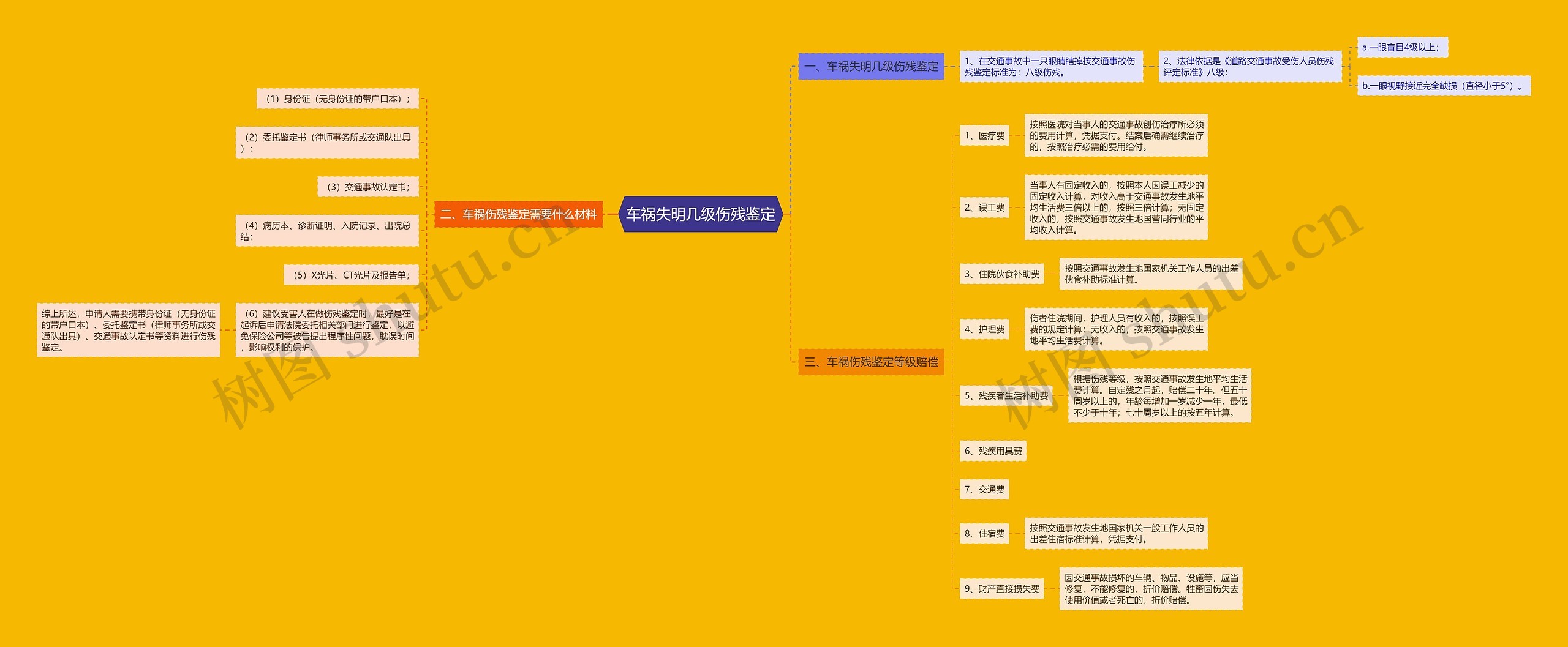 车祸失明几级伤残鉴定思维导图