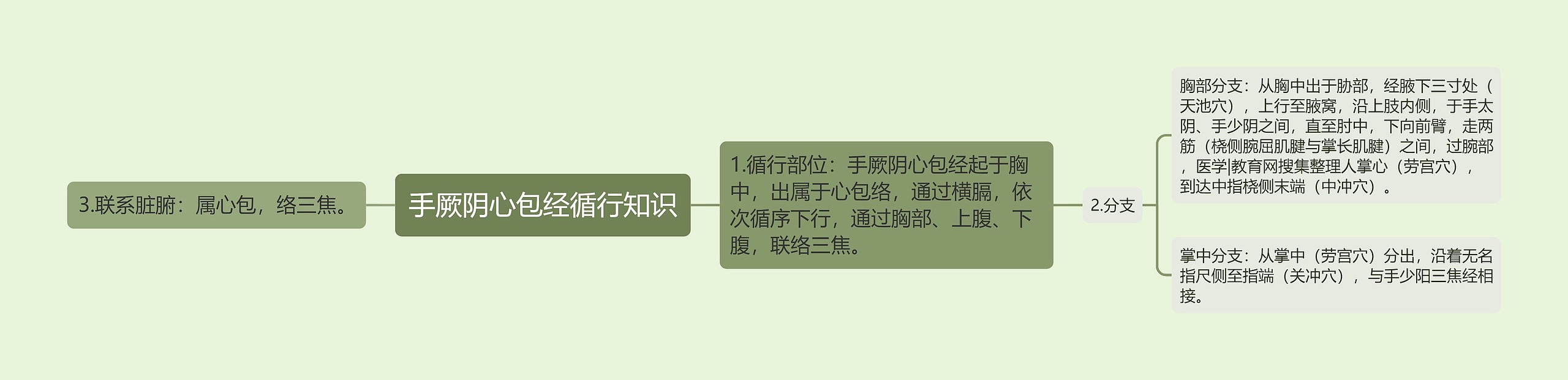 手厥阴心包经循行知识