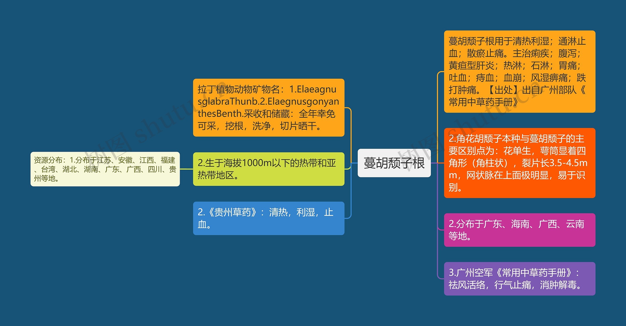 蔓胡颓子根思维导图