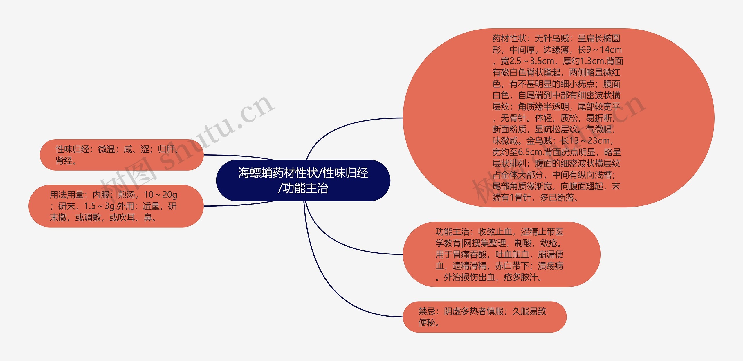 海螵蛸药材性状/性味归经/功能主治思维导图