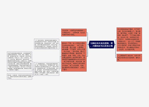 与肺经有关系的是肺、胃、大肠和皮毛以及悲之情