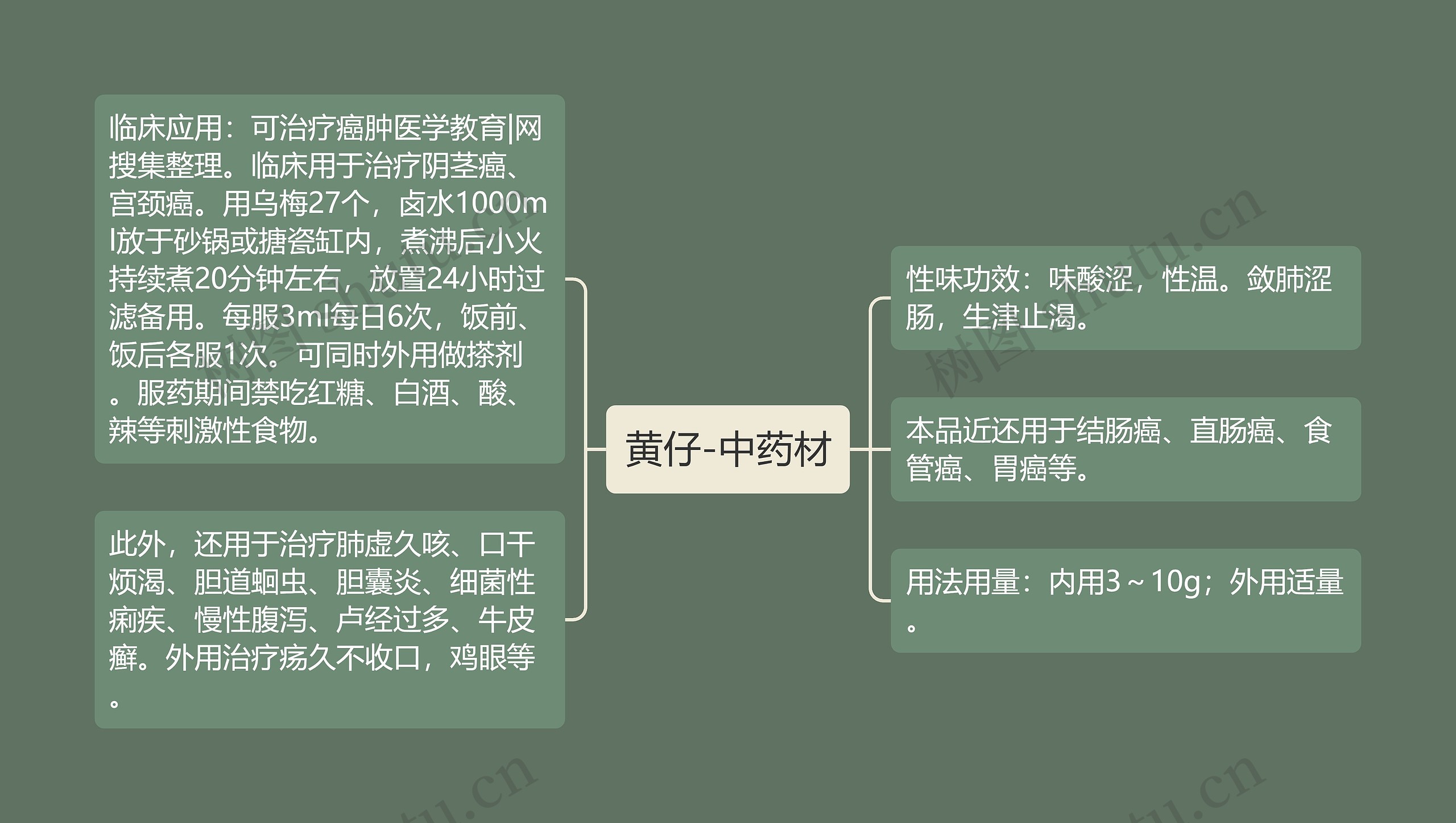 黄仔-中药材思维导图