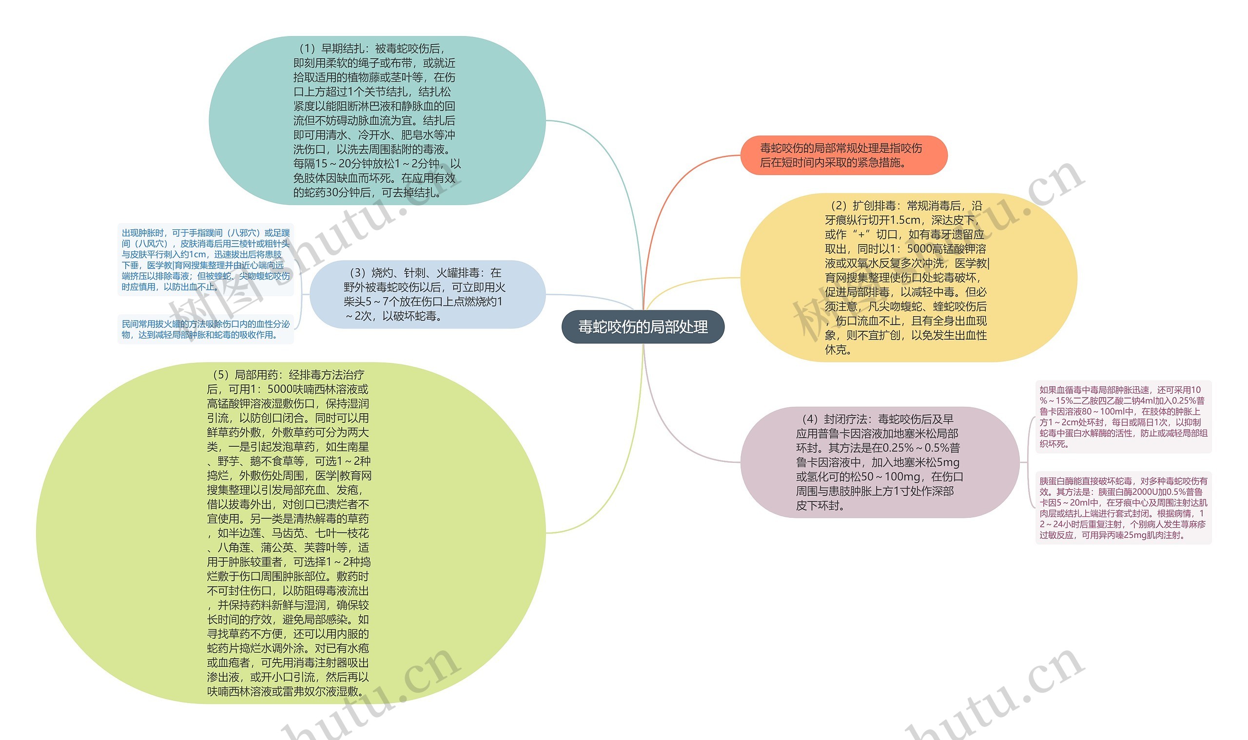 毒蛇咬伤的局部处理思维导图