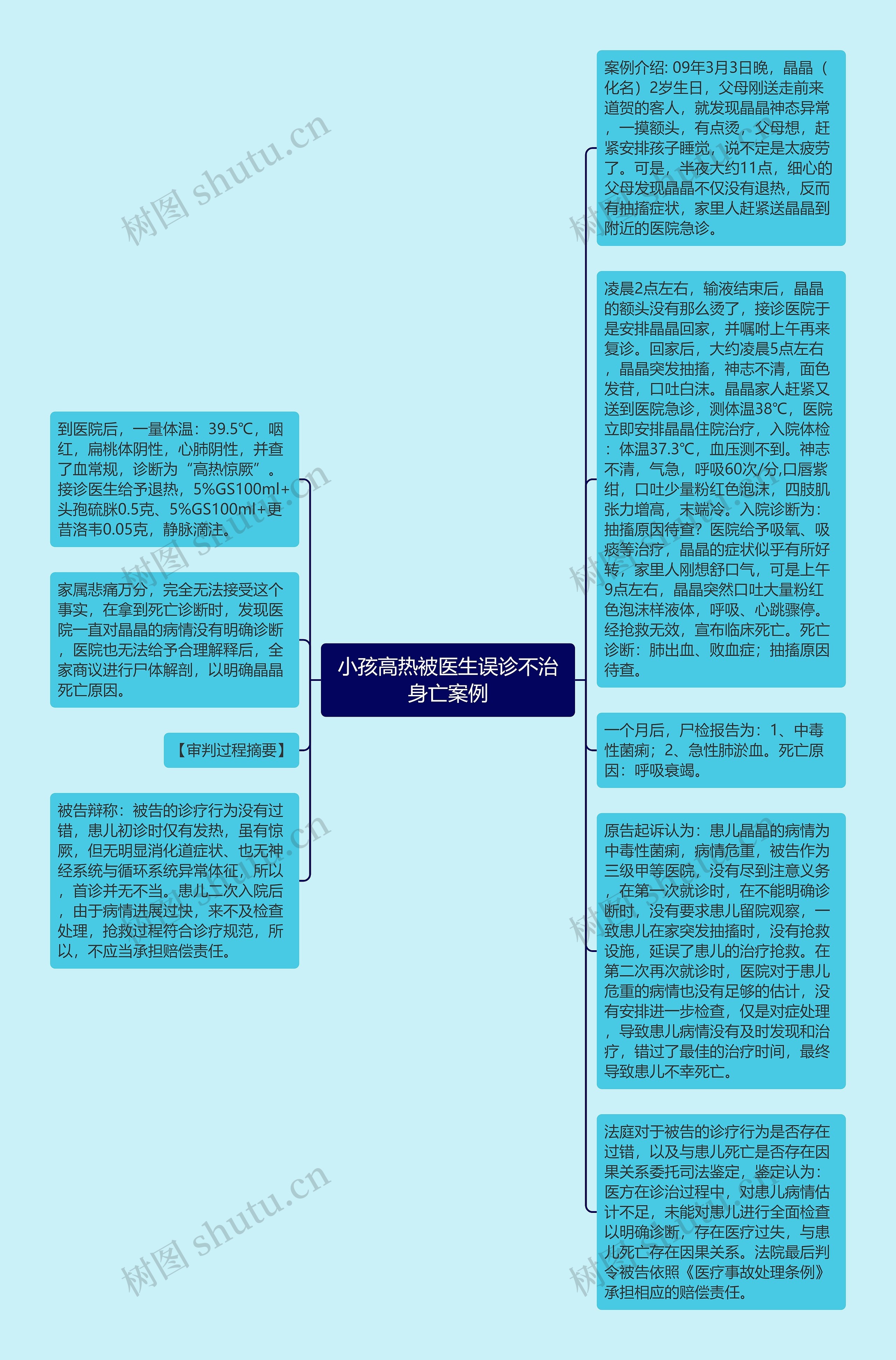 小孩高热被医生误诊不治身亡案例思维导图