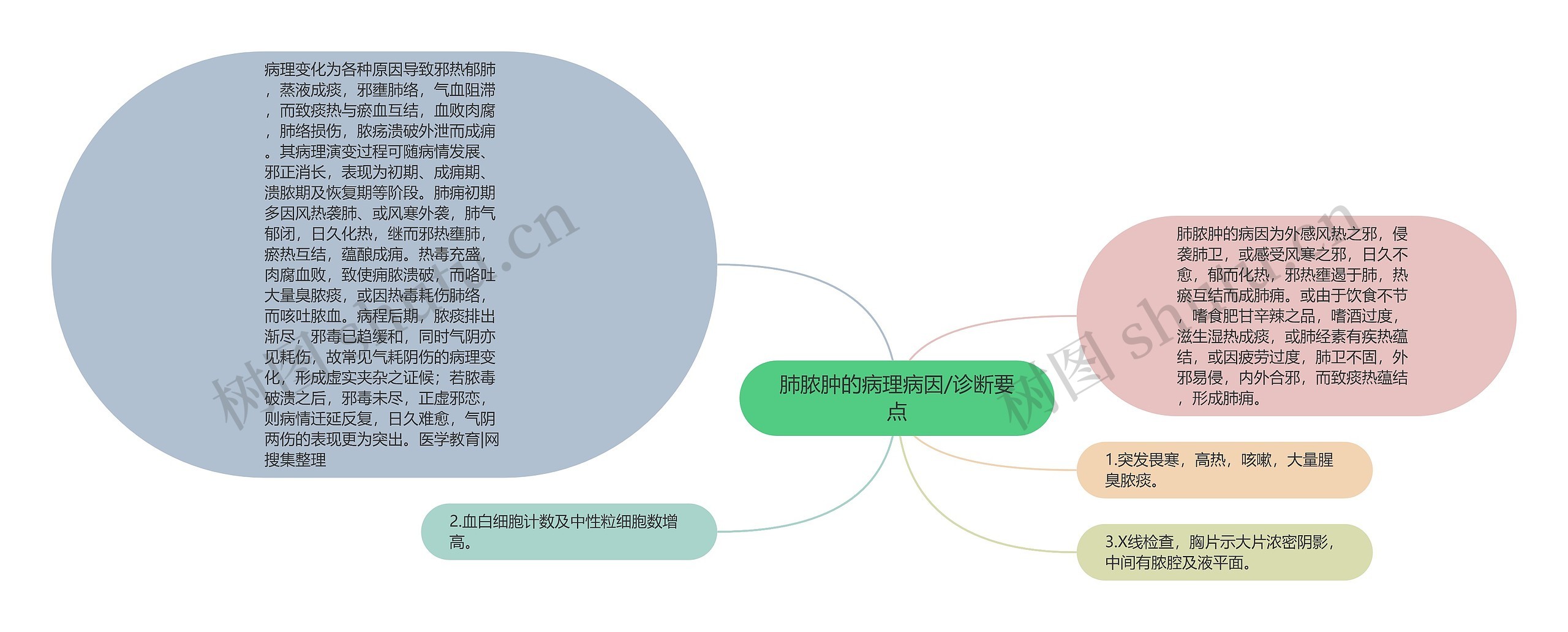 肺脓肿的病理病因/诊断要点思维导图