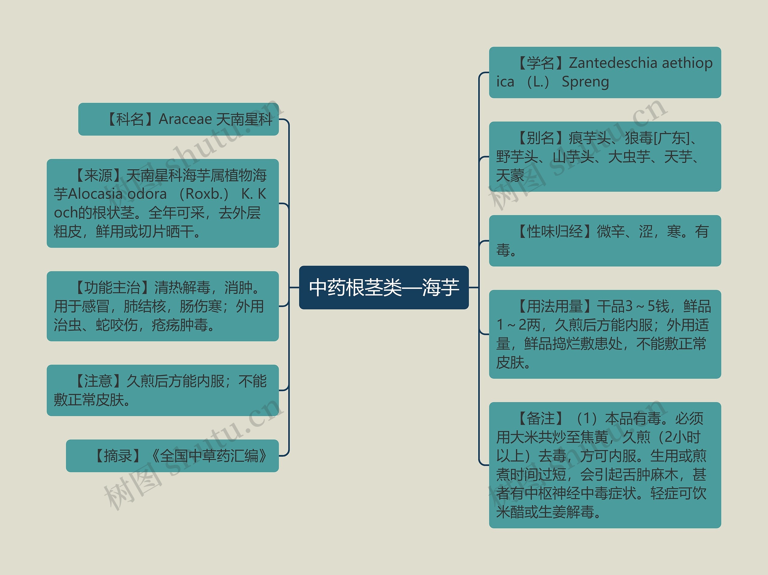 中药根茎类—海芋思维导图