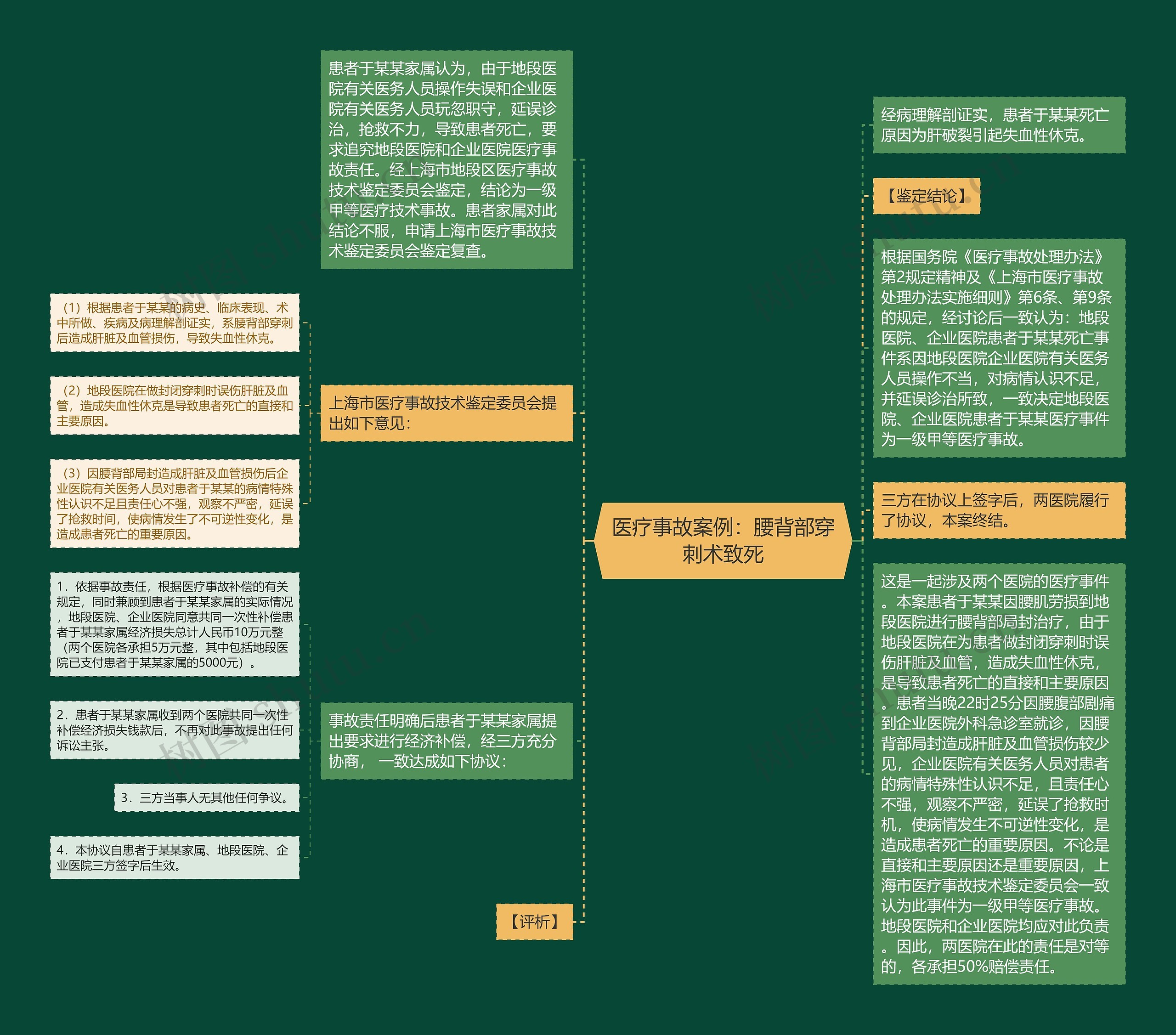 医疗事故案例：腰背部穿刺术致死思维导图