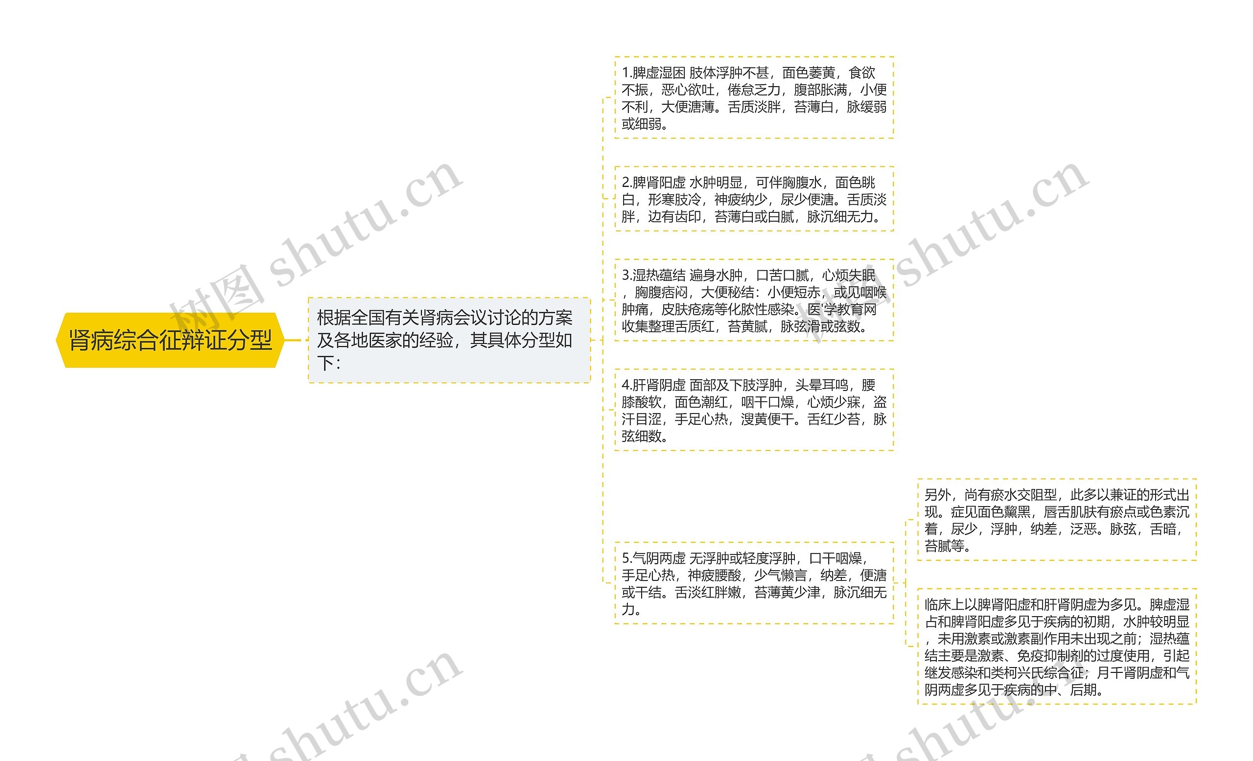 肾病综合征辩证分型思维导图