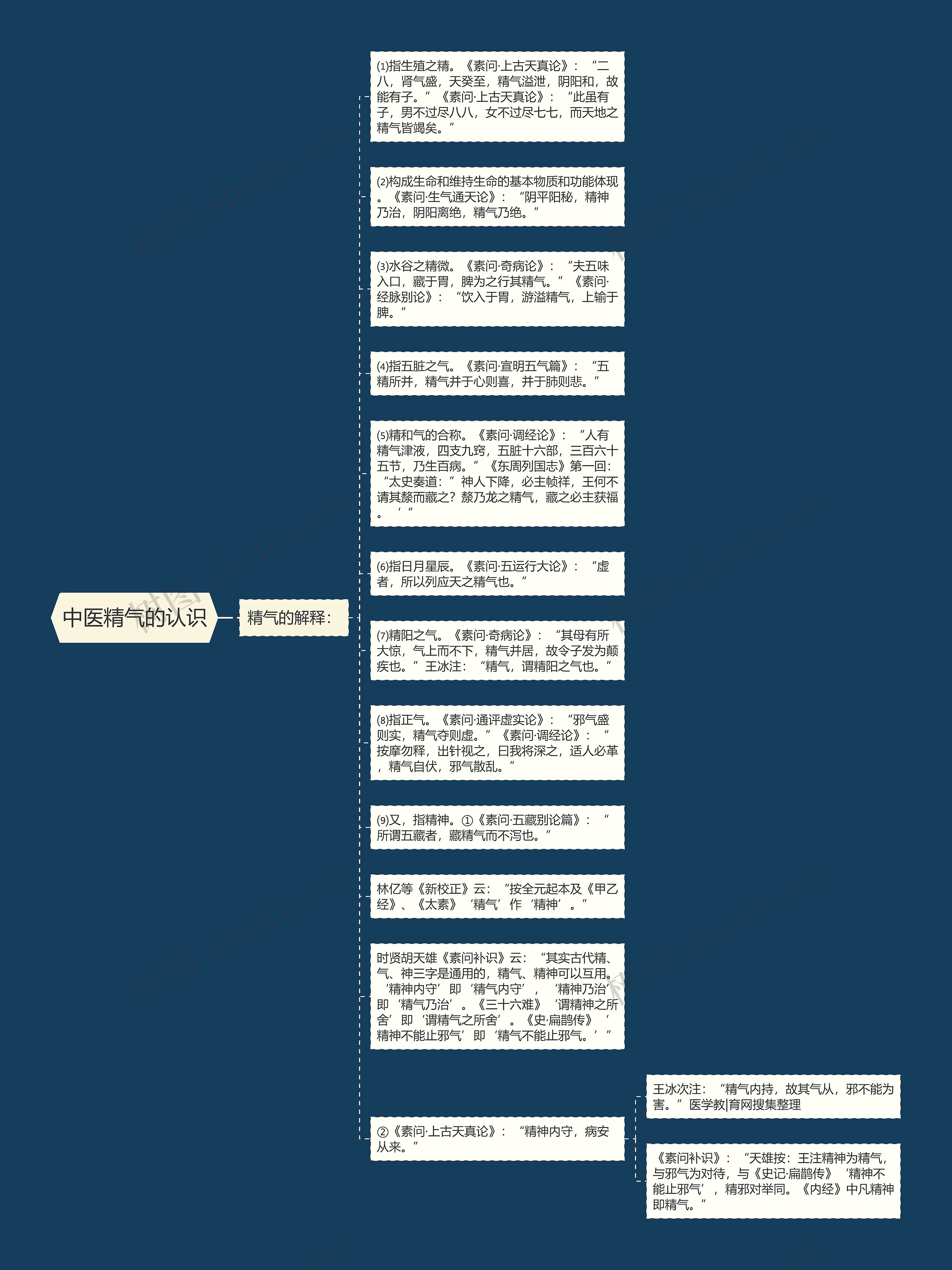 中医精气的认识思维导图