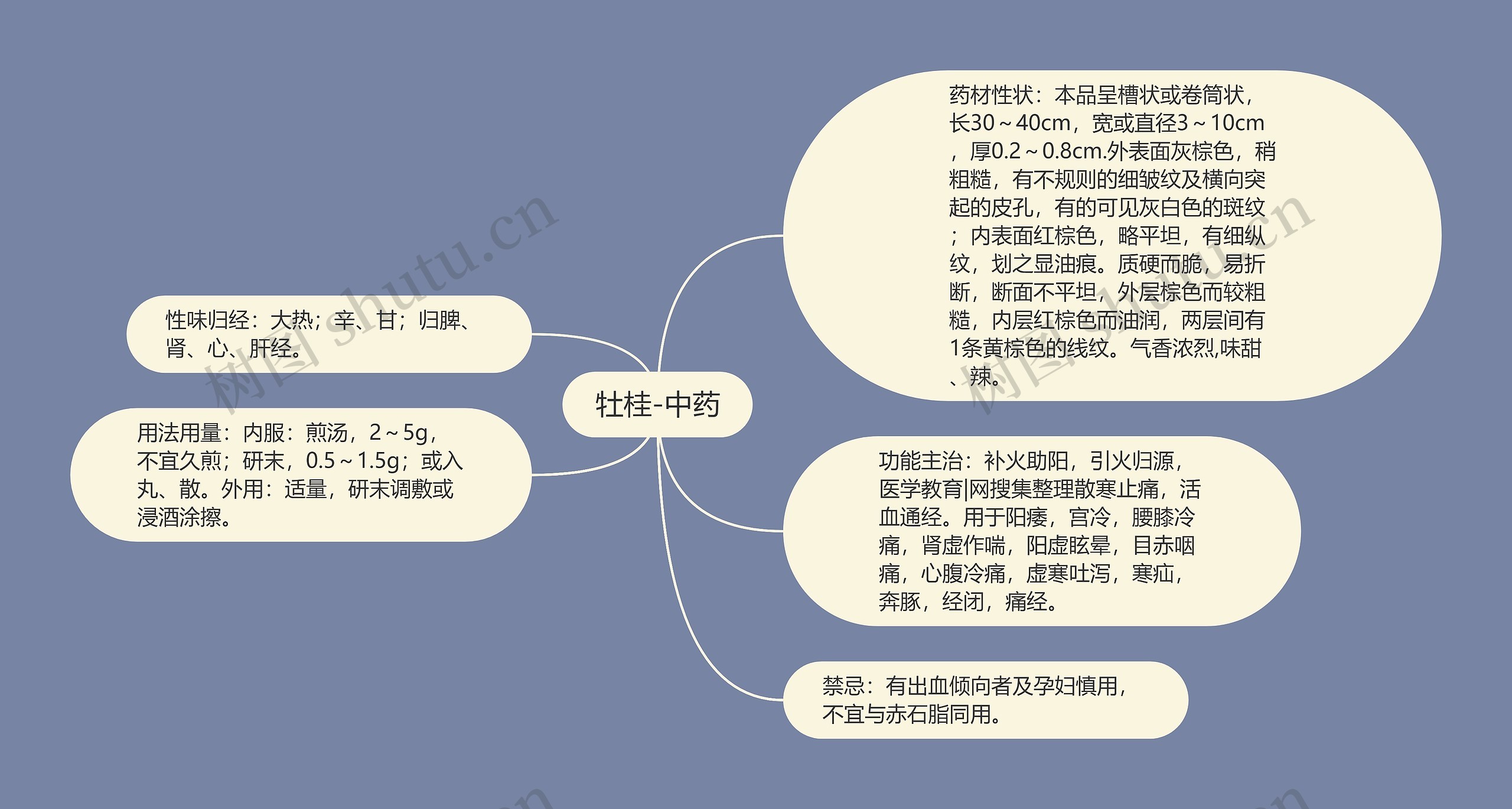 牡桂-中药 牡桂-中药