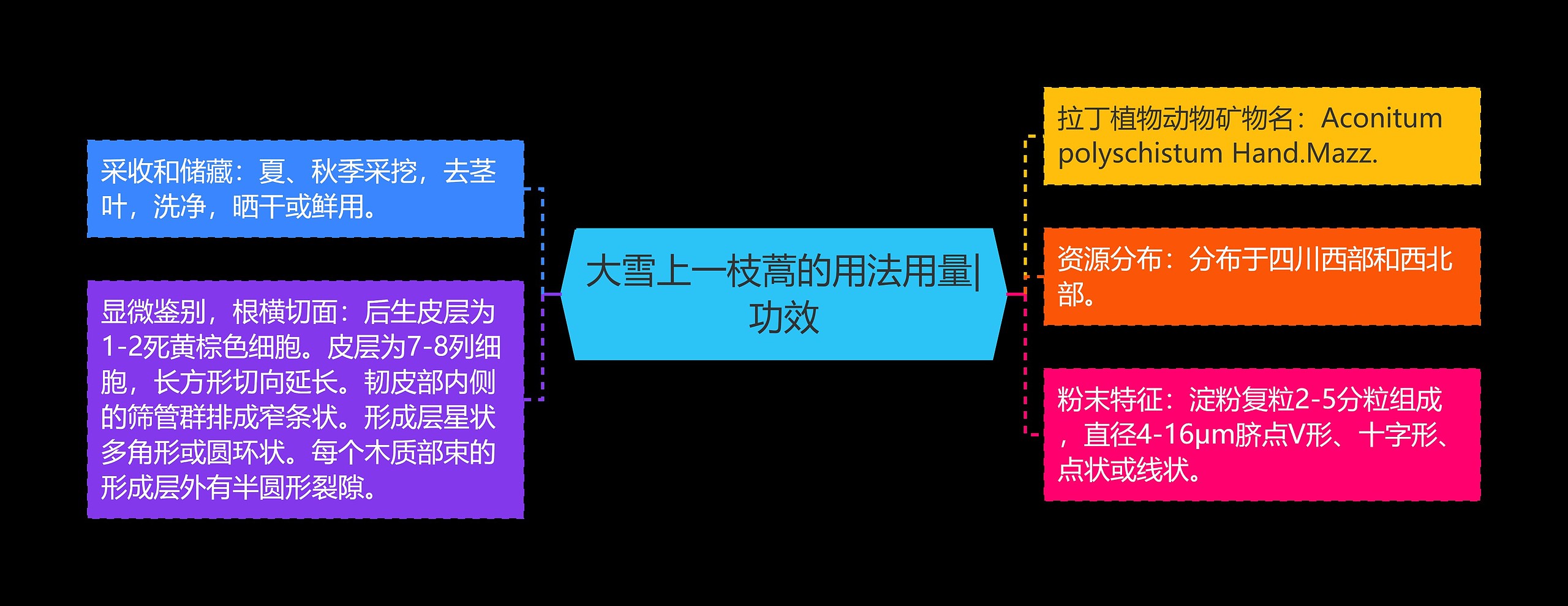 大雪上一枝蒿的用法用量|功效