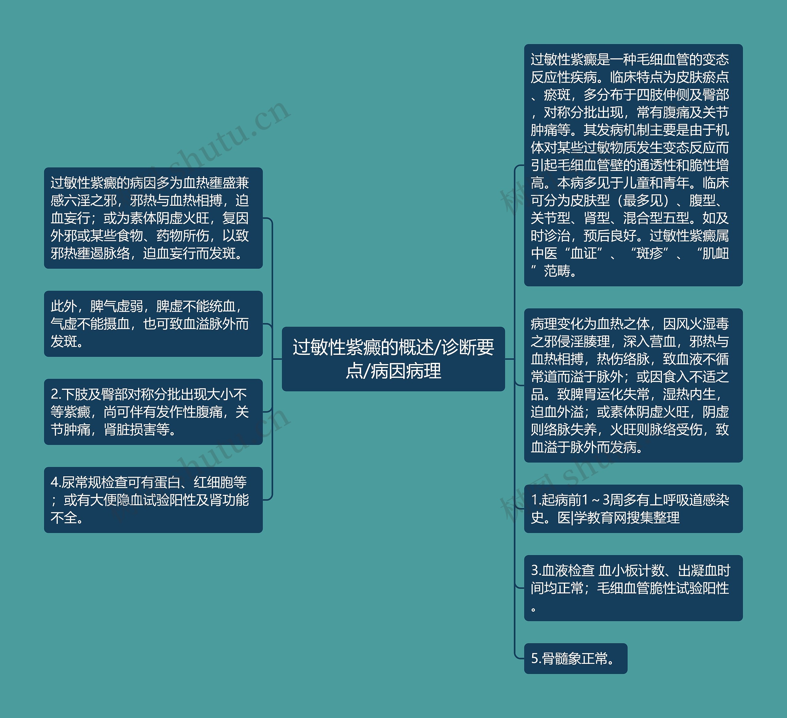 过敏性紫癜的概述/诊断要点/病因病理思维导图