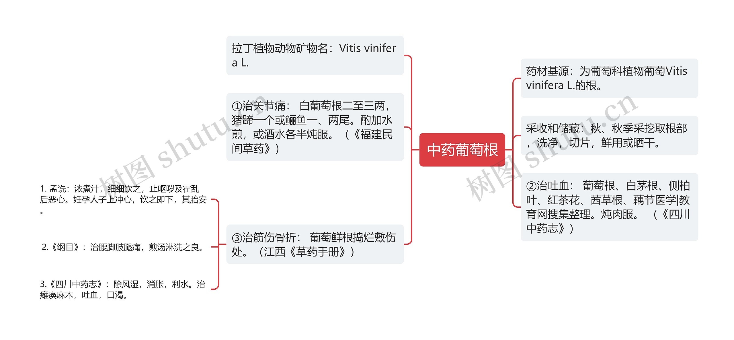 中药葡萄根