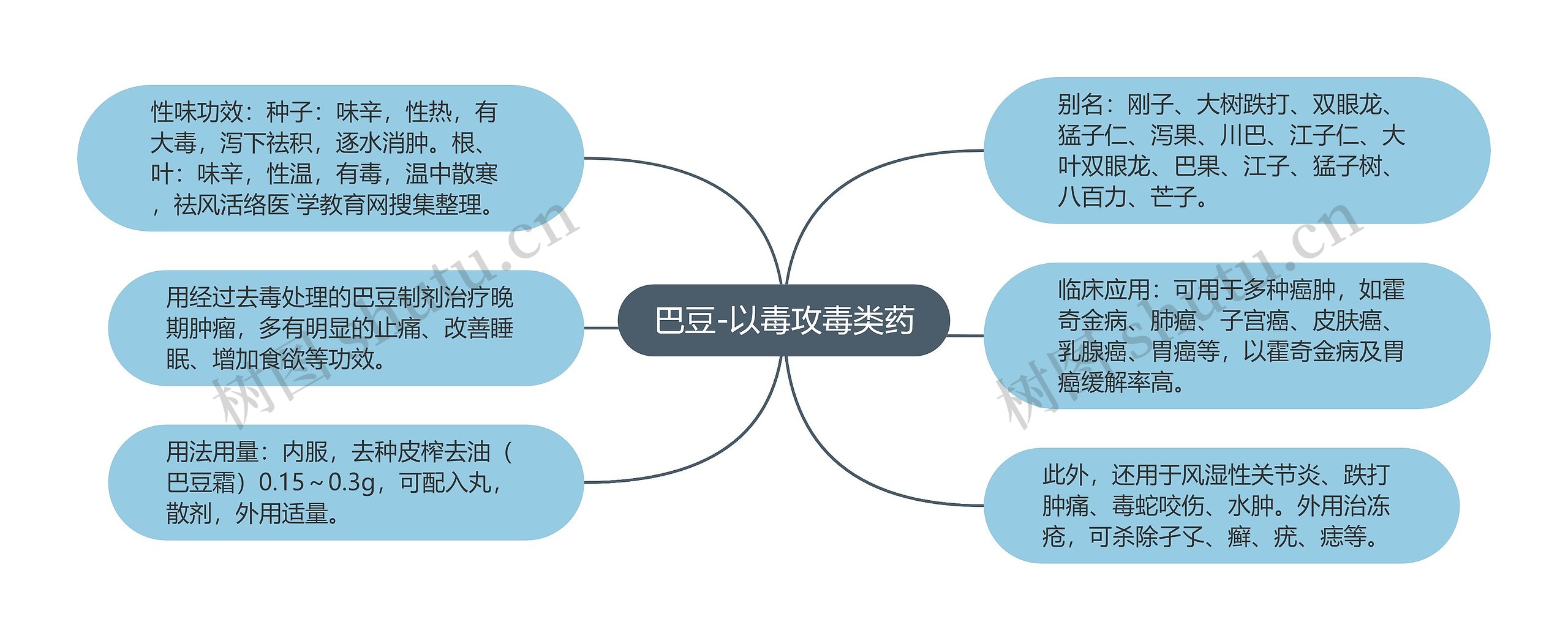 巴豆-以毒攻毒类药