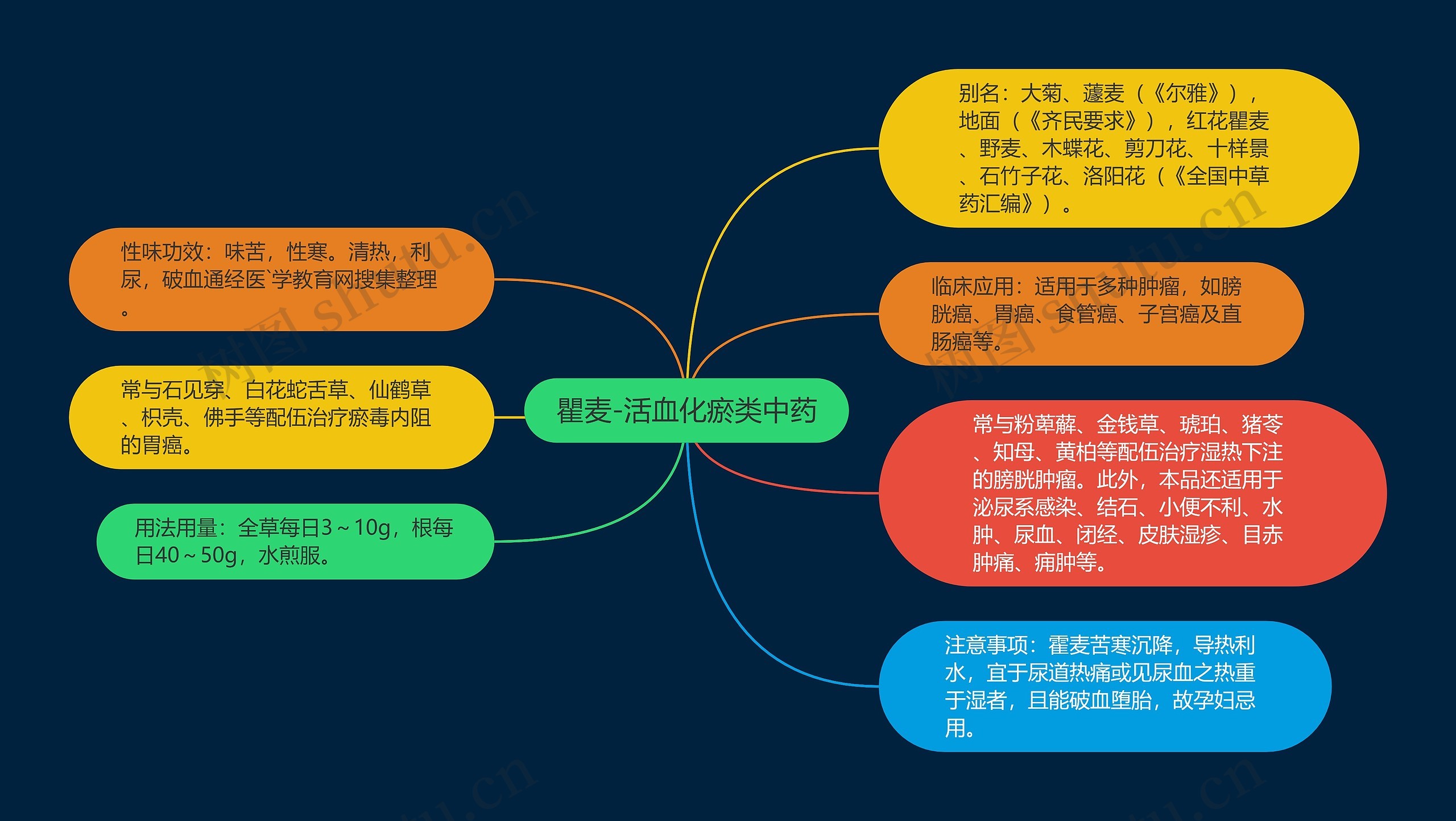 瞿麦-活血化瘀类中药思维导图