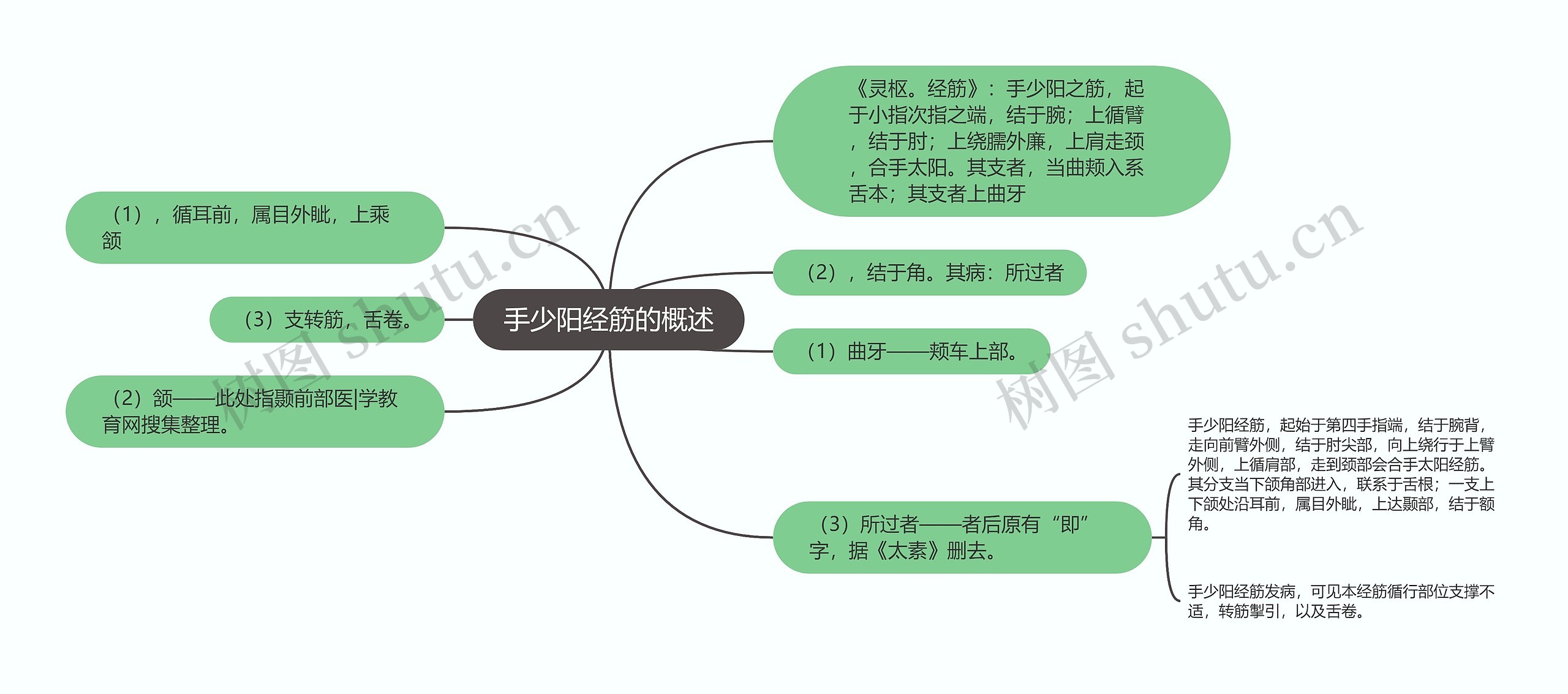 手少阳经筋的概述思维导图