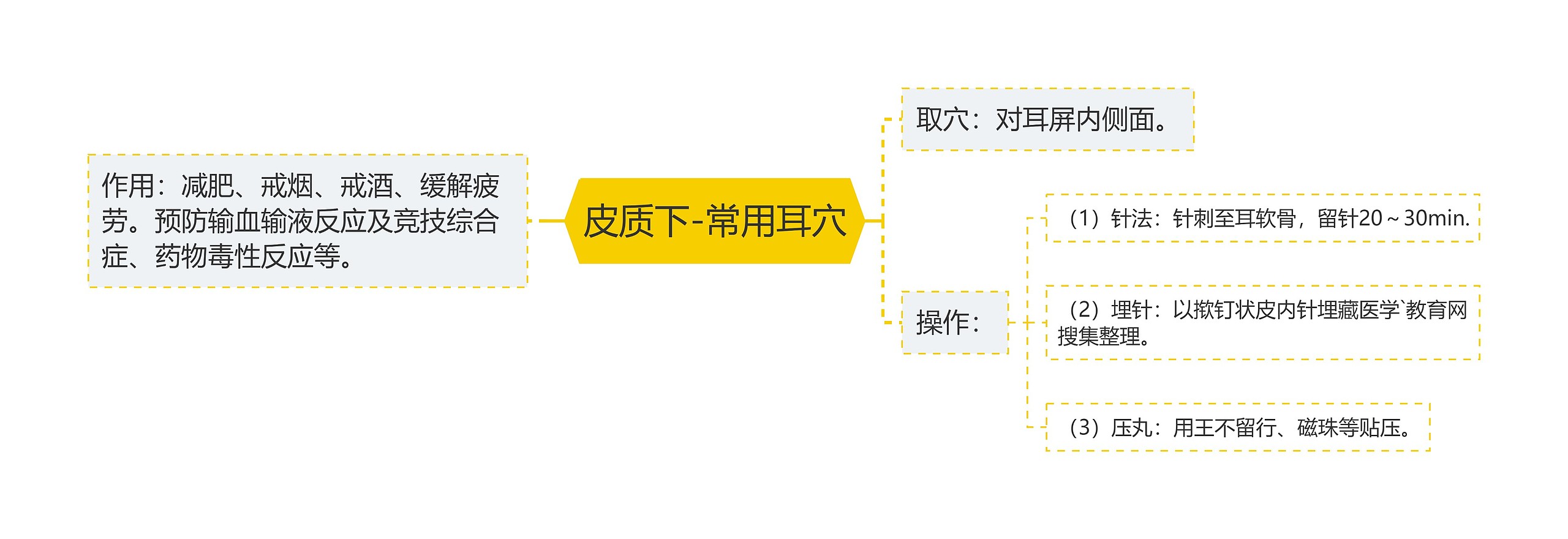 皮质下-常用耳穴