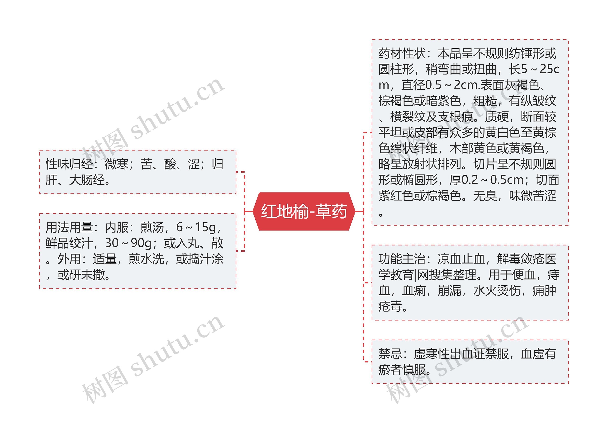 红地榆-草药思维导图