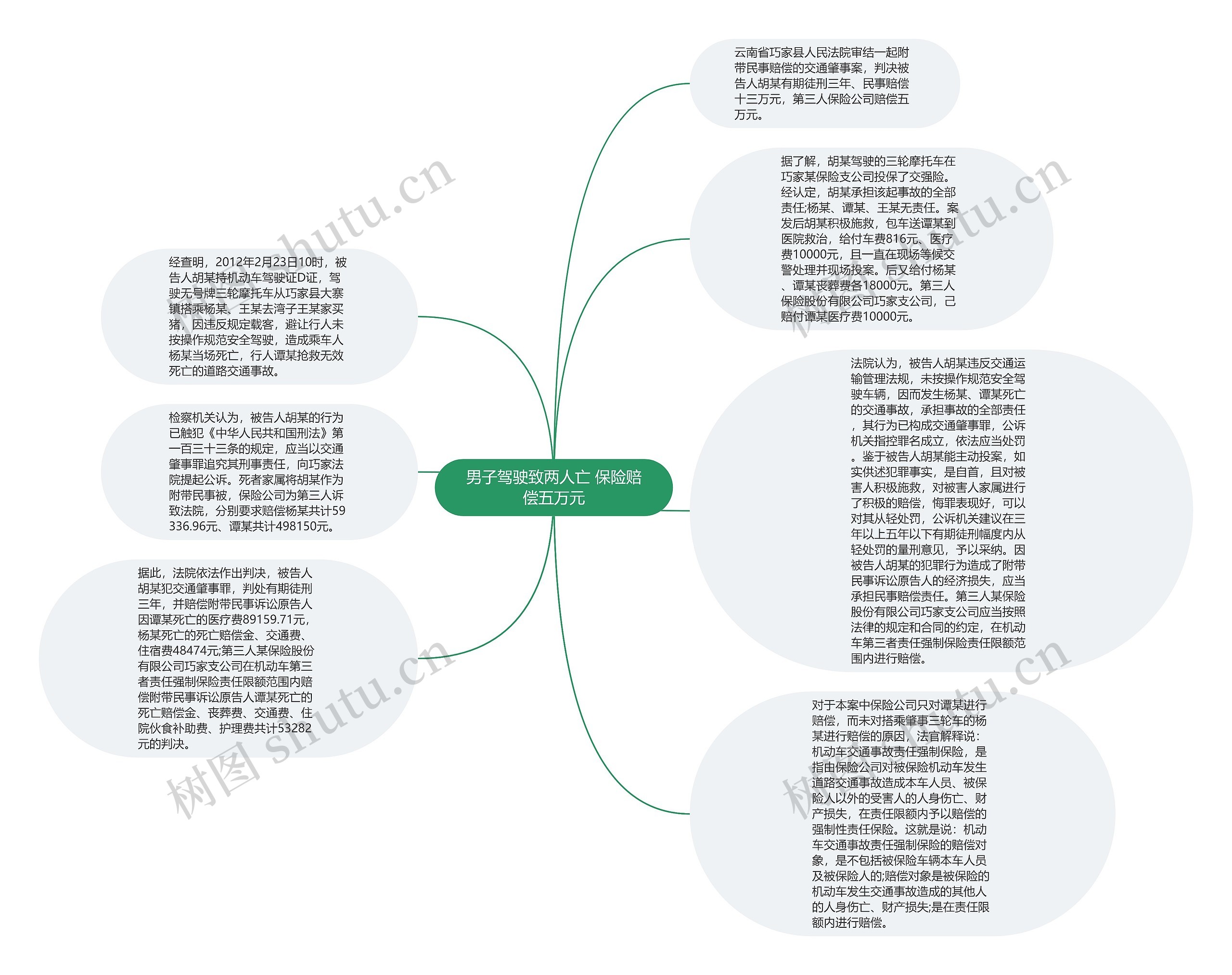 男子驾驶致两人亡 保险赔偿五万元思维导图