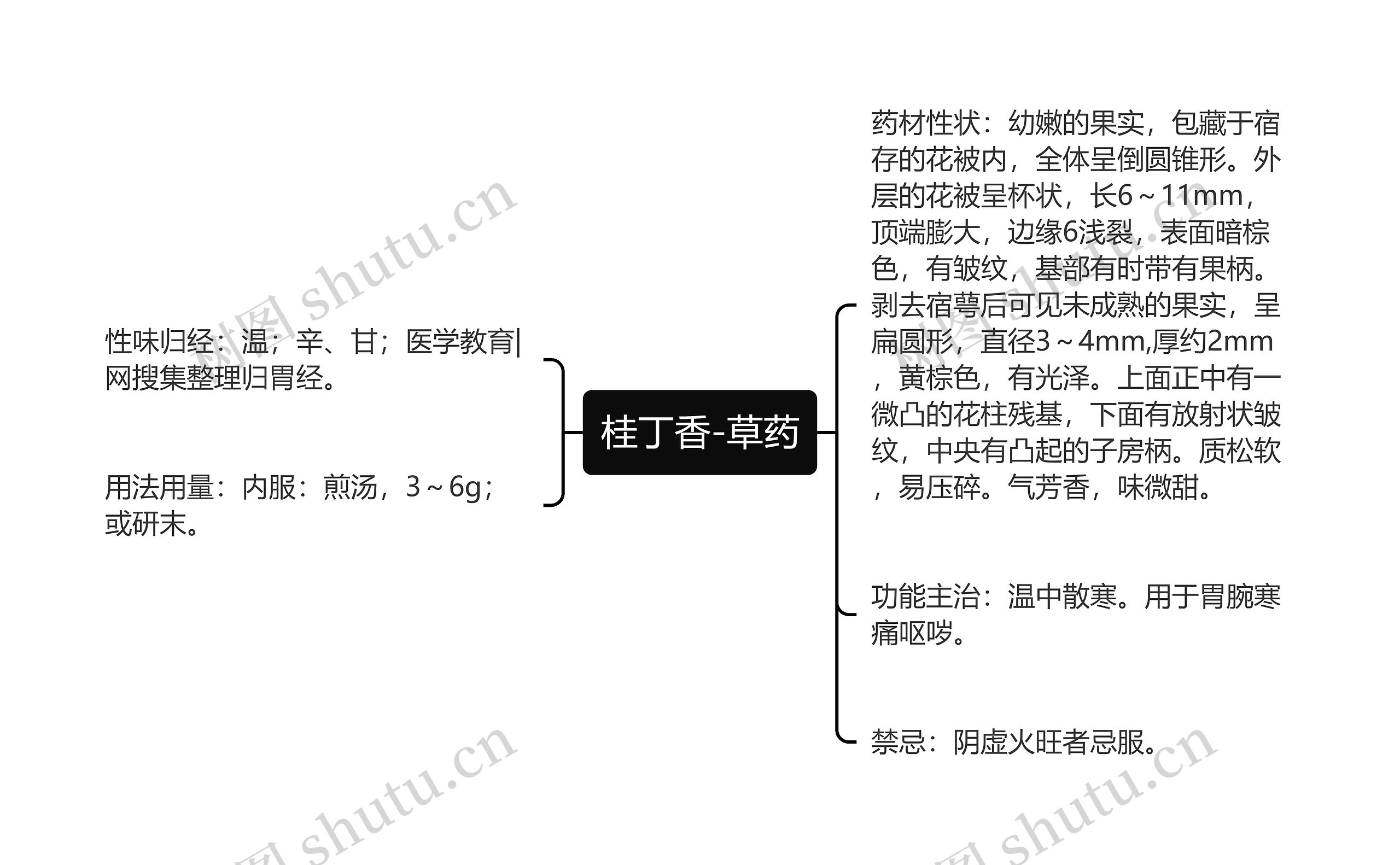 桂丁香-草药思维导图