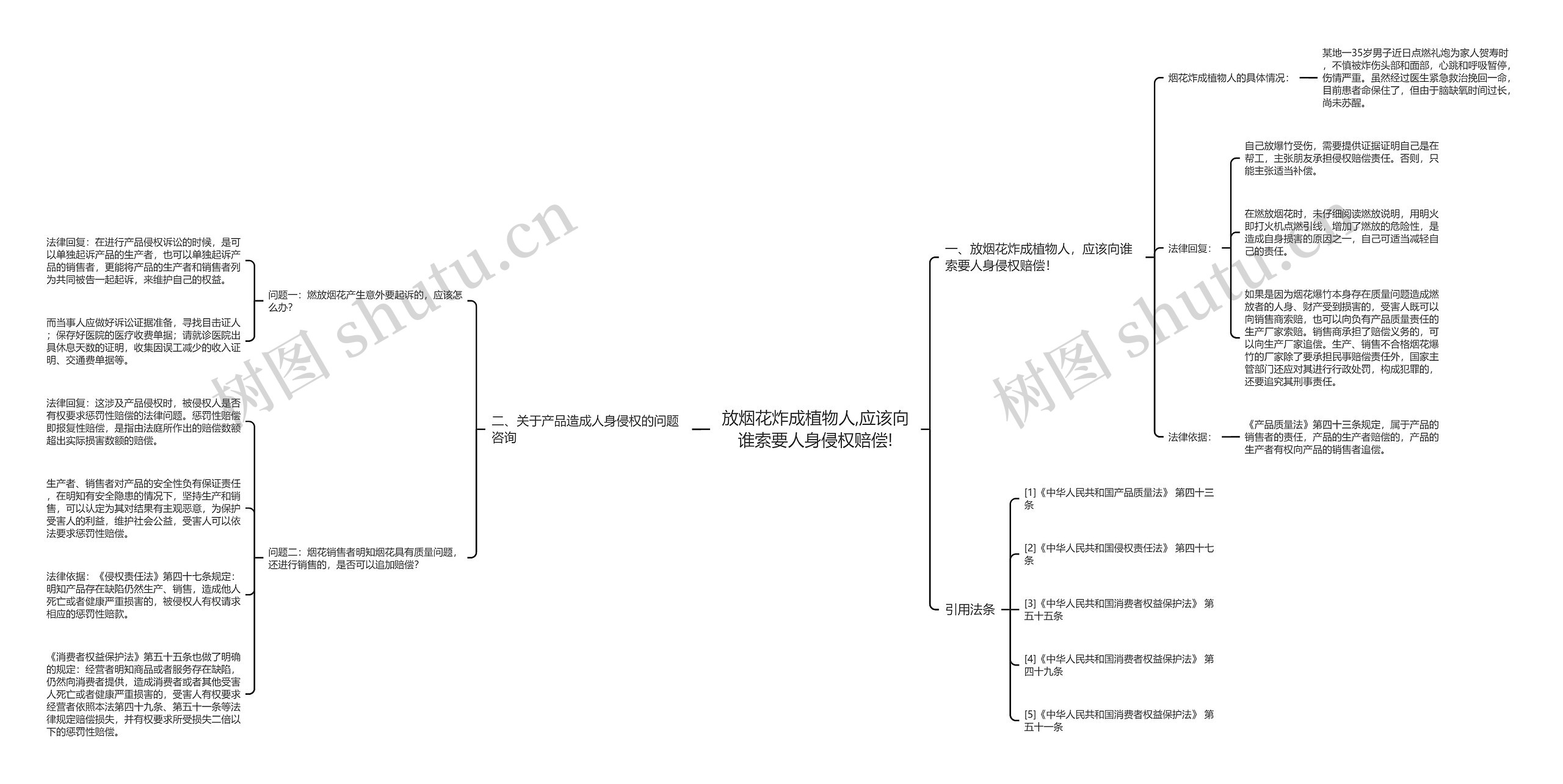 放烟花炸成植物人,应该向谁索要人身侵权赔偿! 放烟花炸成植物人,应该向谁索要人身侵权赔偿!