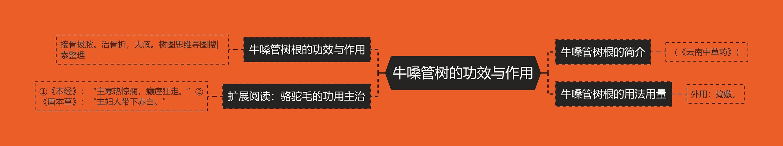 牛嗓管树的功效与作用 牛嗓管树的功效与作用