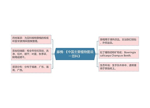 藤槐-《中国主要植物图说一豆科》