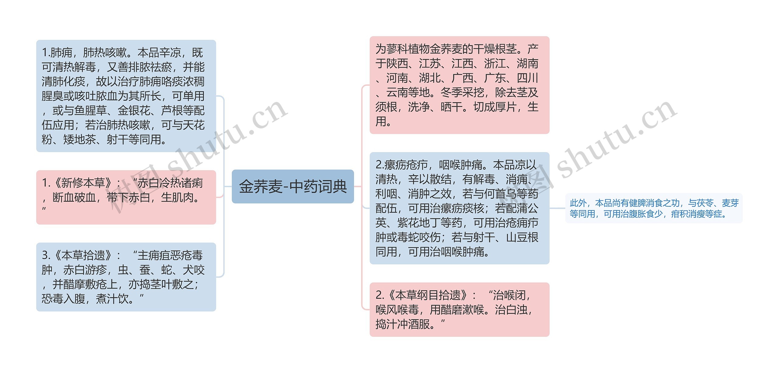 金荞麦-中药词典