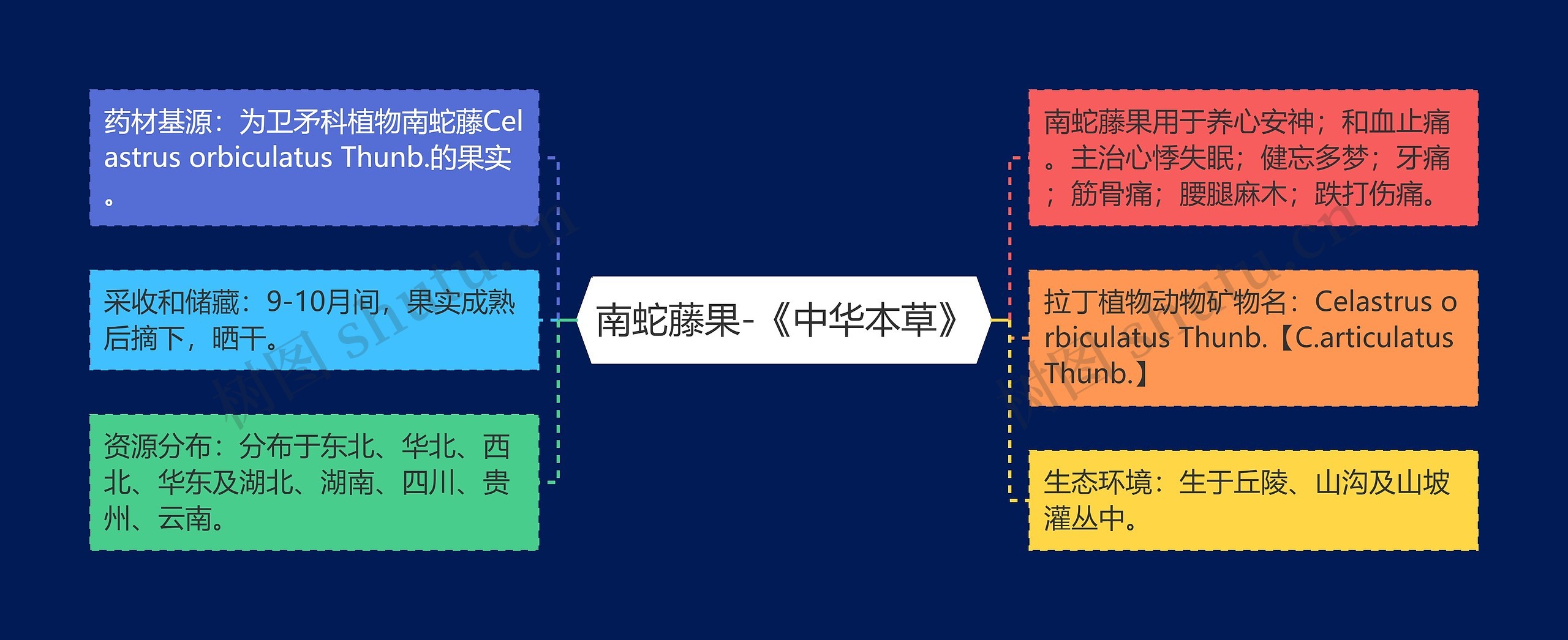 南蛇藤果-《中华本草》