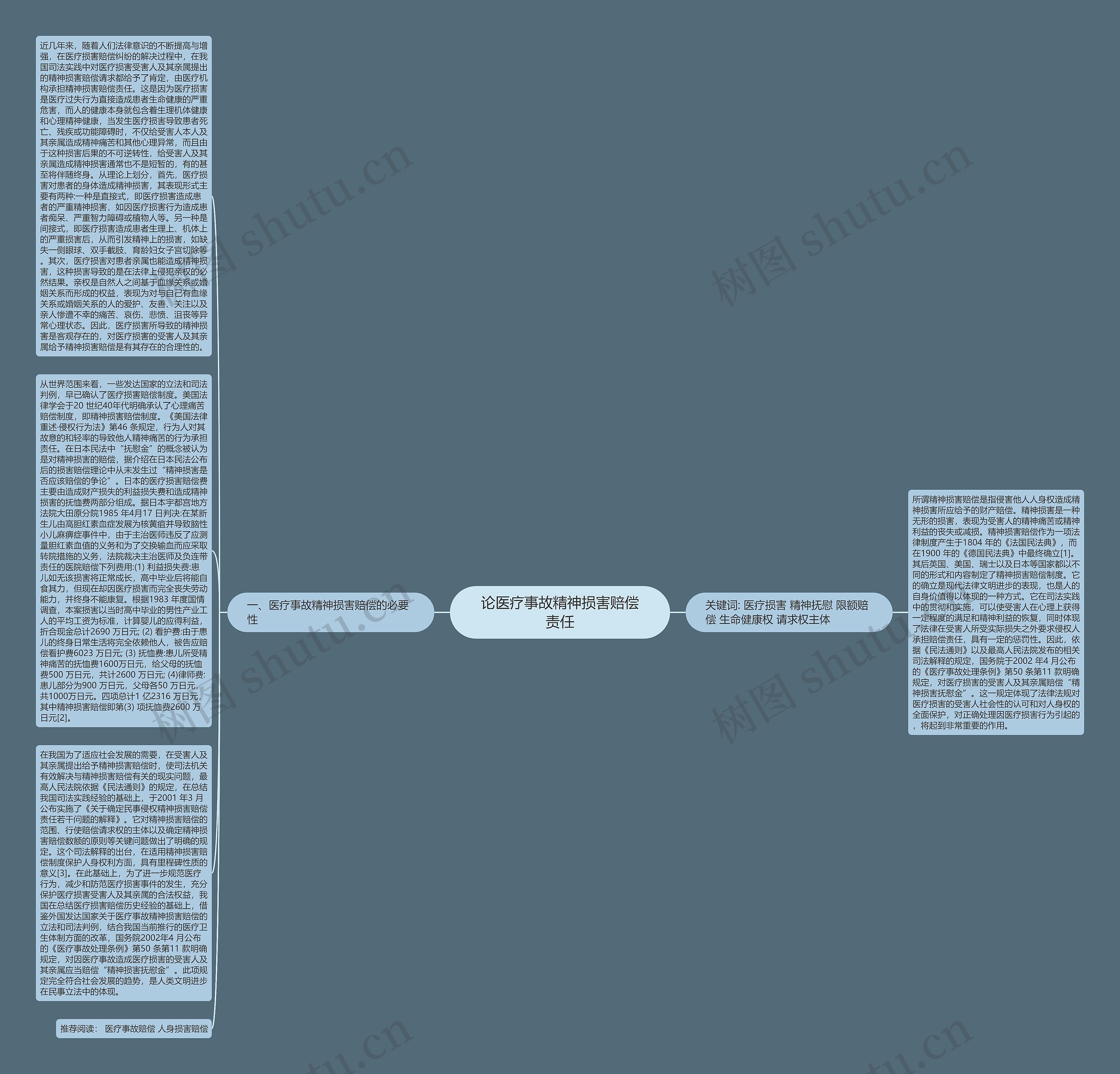 论医疗事故精神损害赔偿责任思维导图
