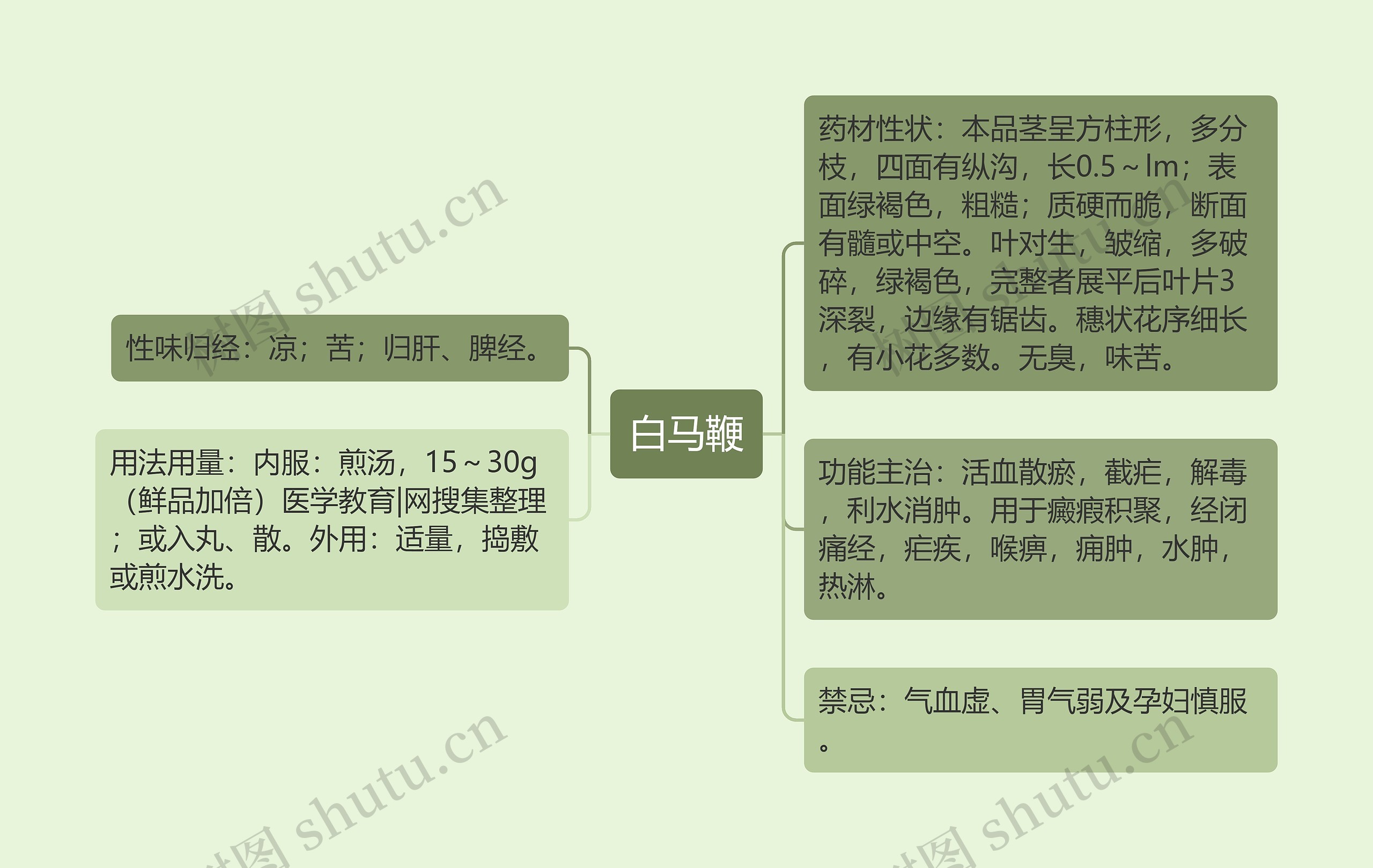 白马鞭