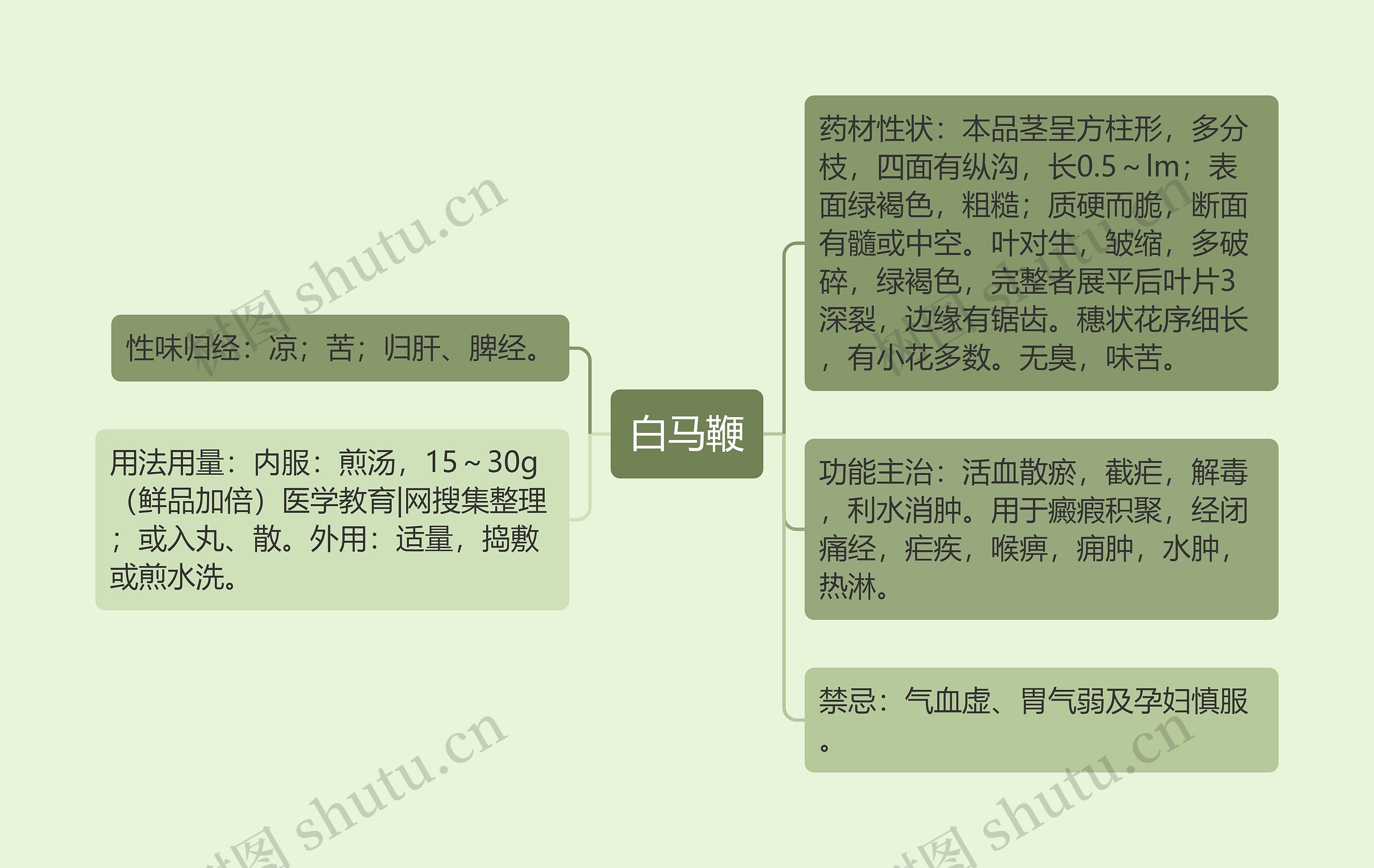 白马鞭思维导图