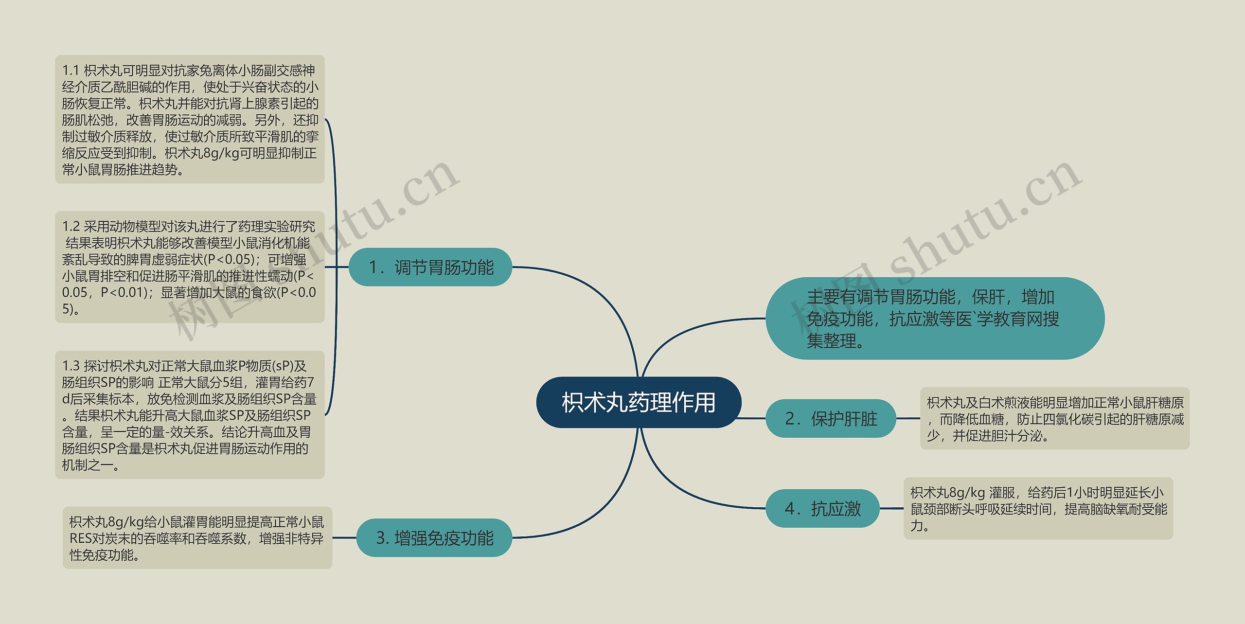 枳术丸药理作用