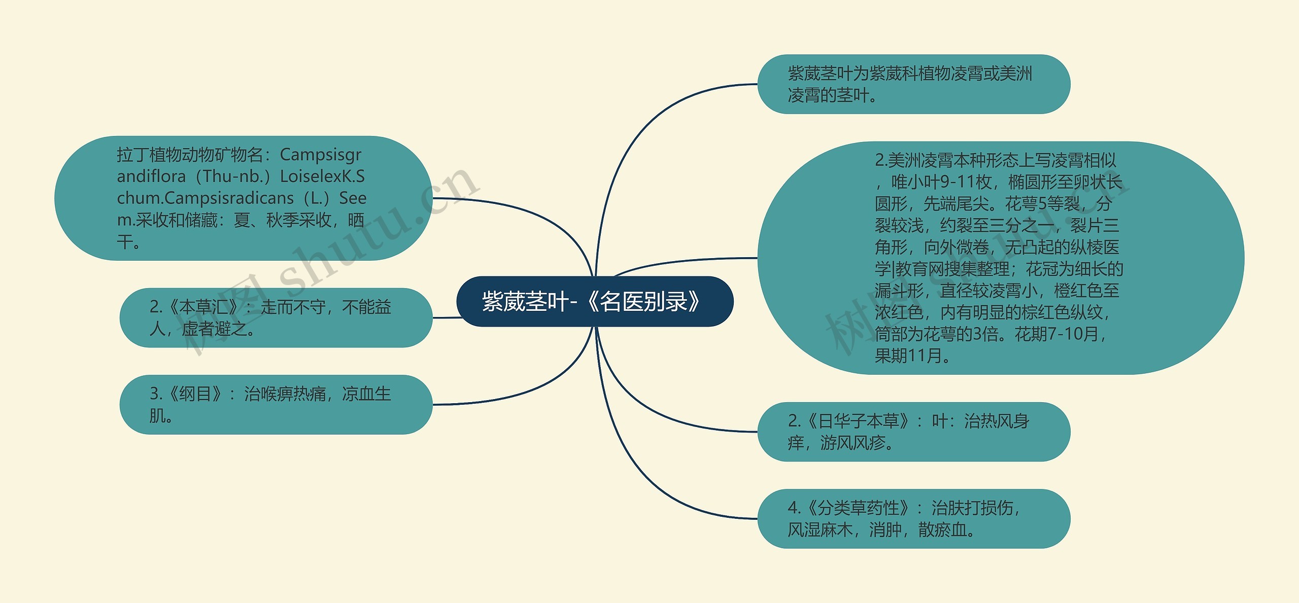 紫葳茎叶-《名医别录》思维导图