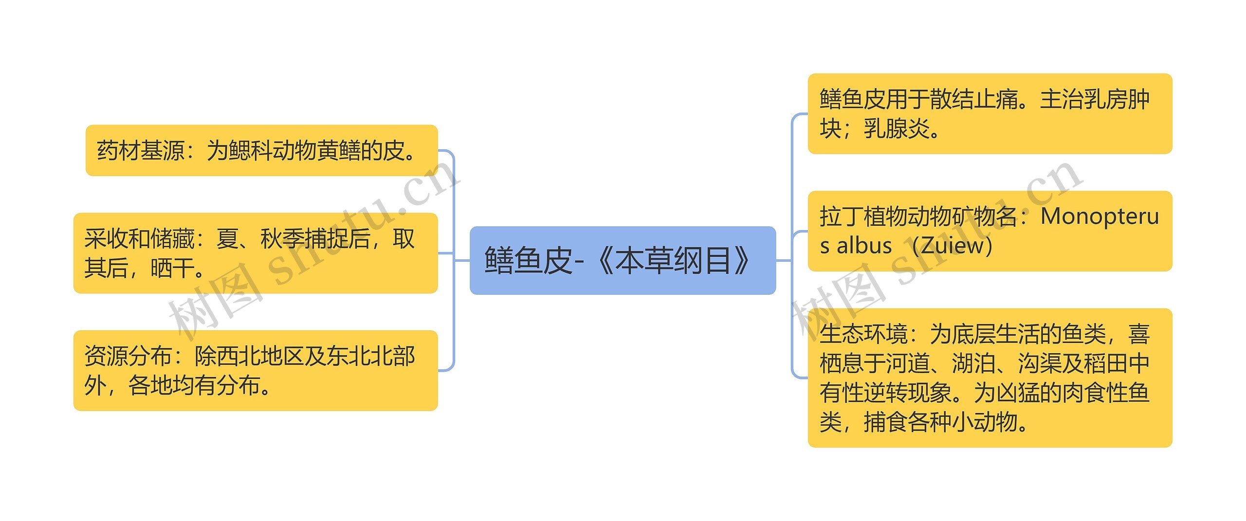 鳝鱼皮-《本草纲目》思维导图