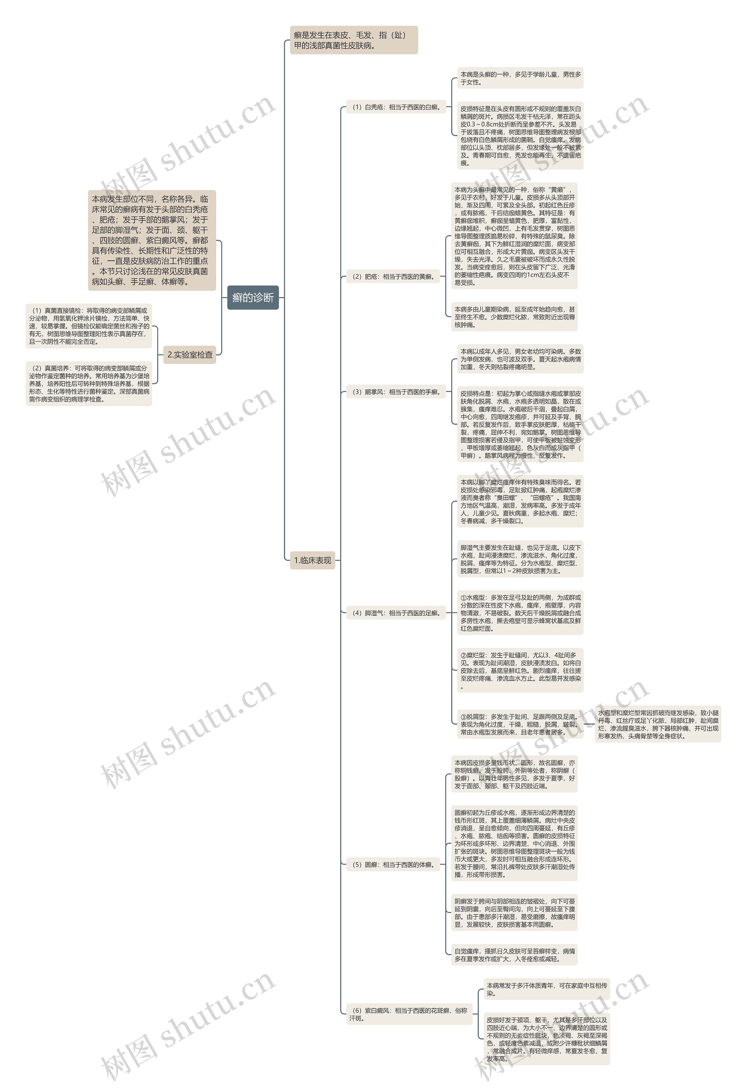 癣的诊断思维导图