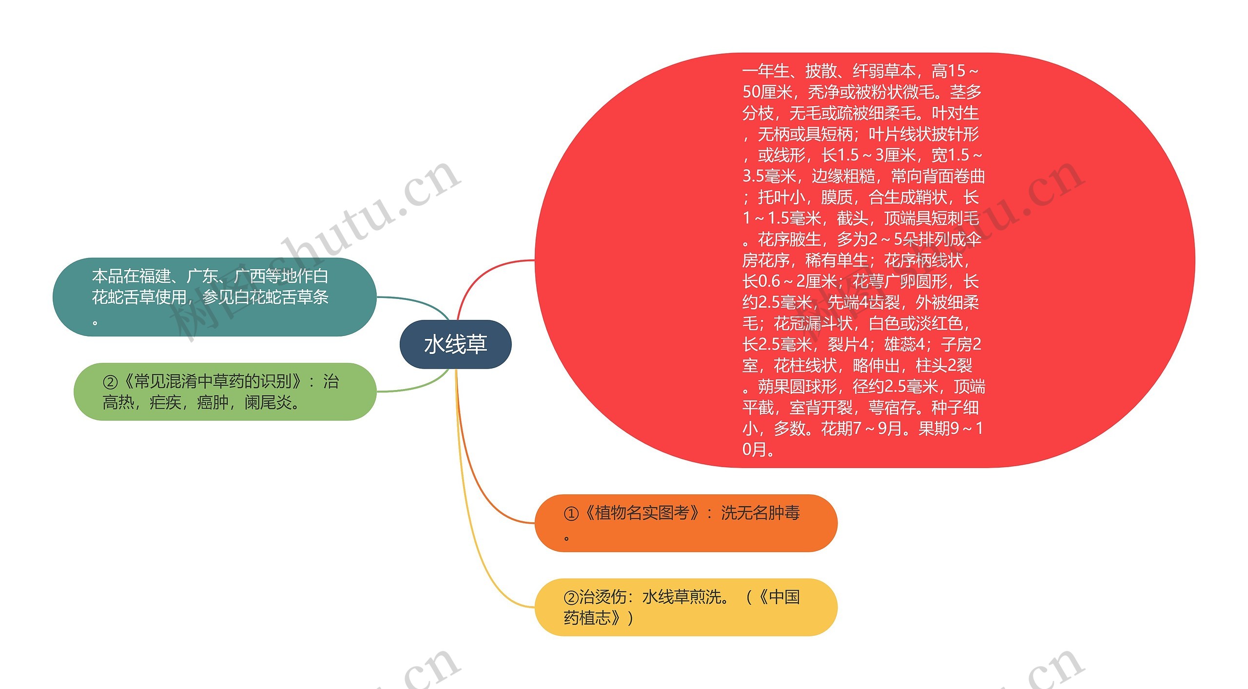 水线草思维导图