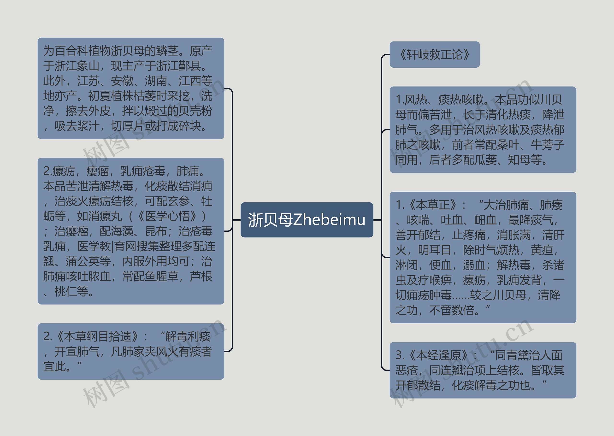 浙贝母Zhebeimu思维导图