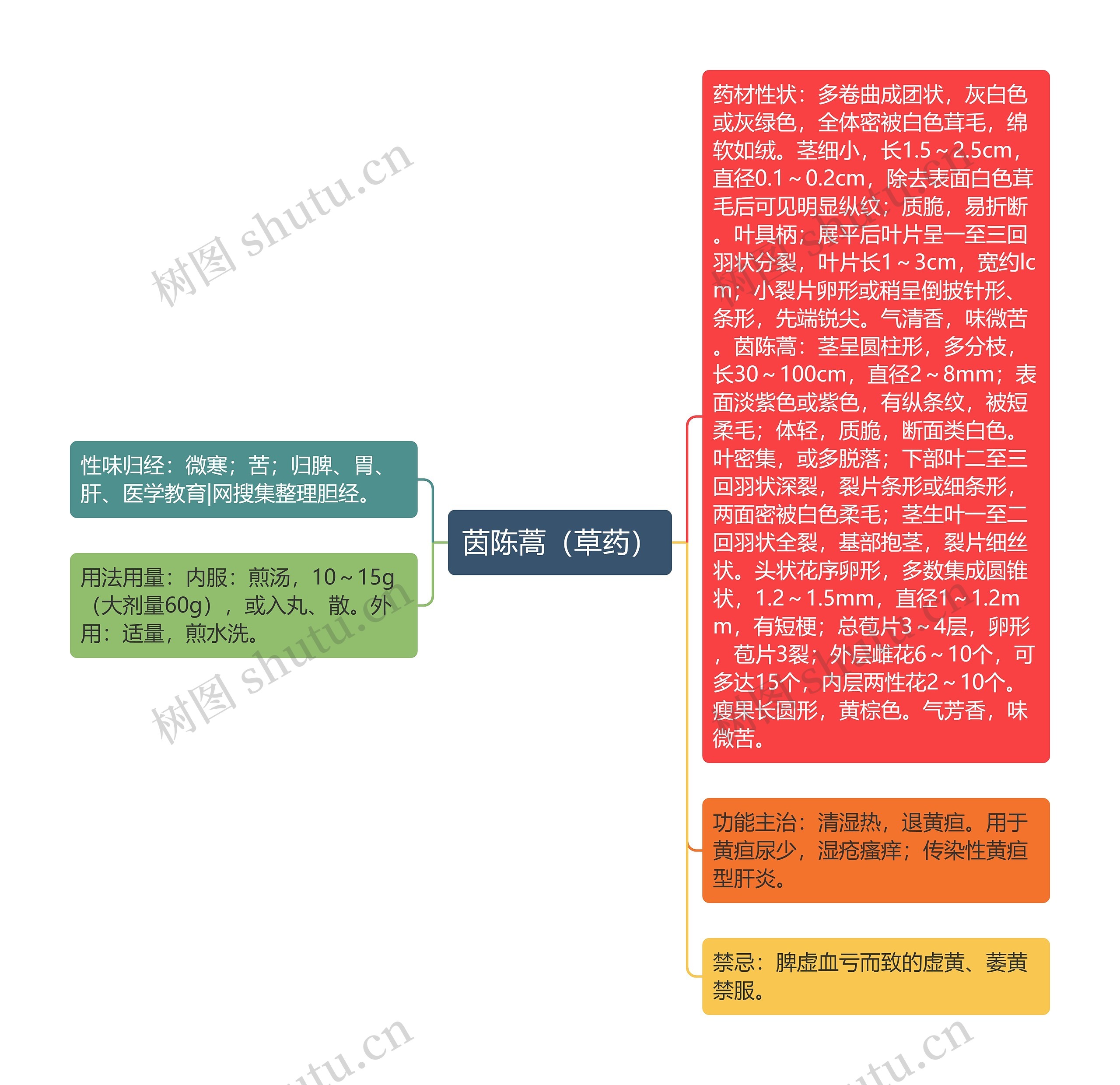 茵陈蒿(草药) 茵陈蒿(草药)