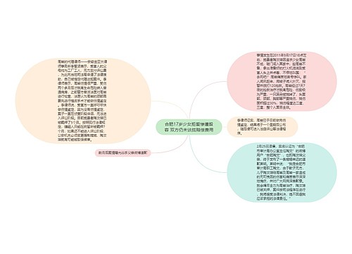 合肥17岁少女拒爱惨遭毁容 双方仍未谈拢赔偿费用