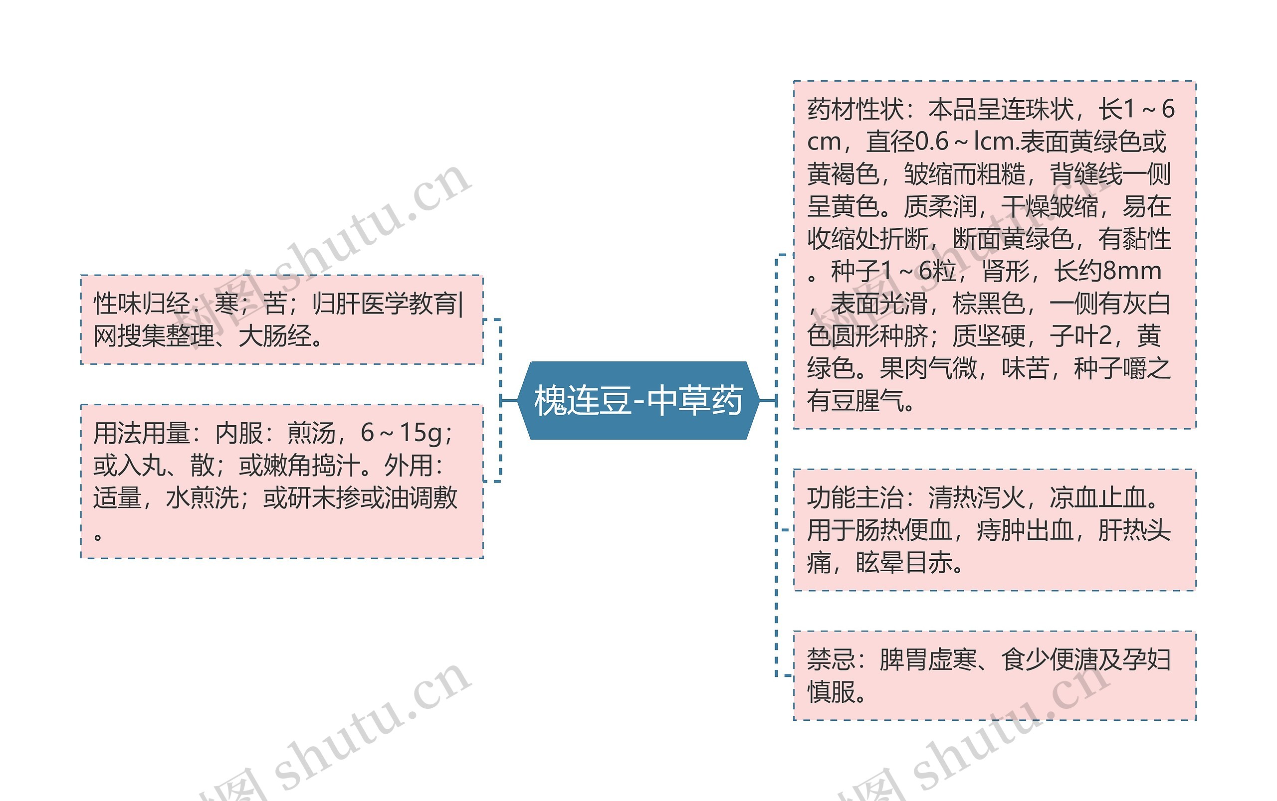 槐连豆-中草药思维导图