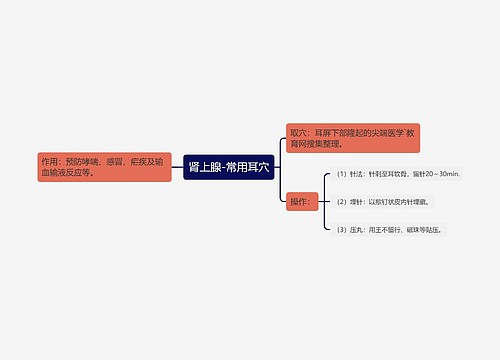 肾上腺-常用耳穴