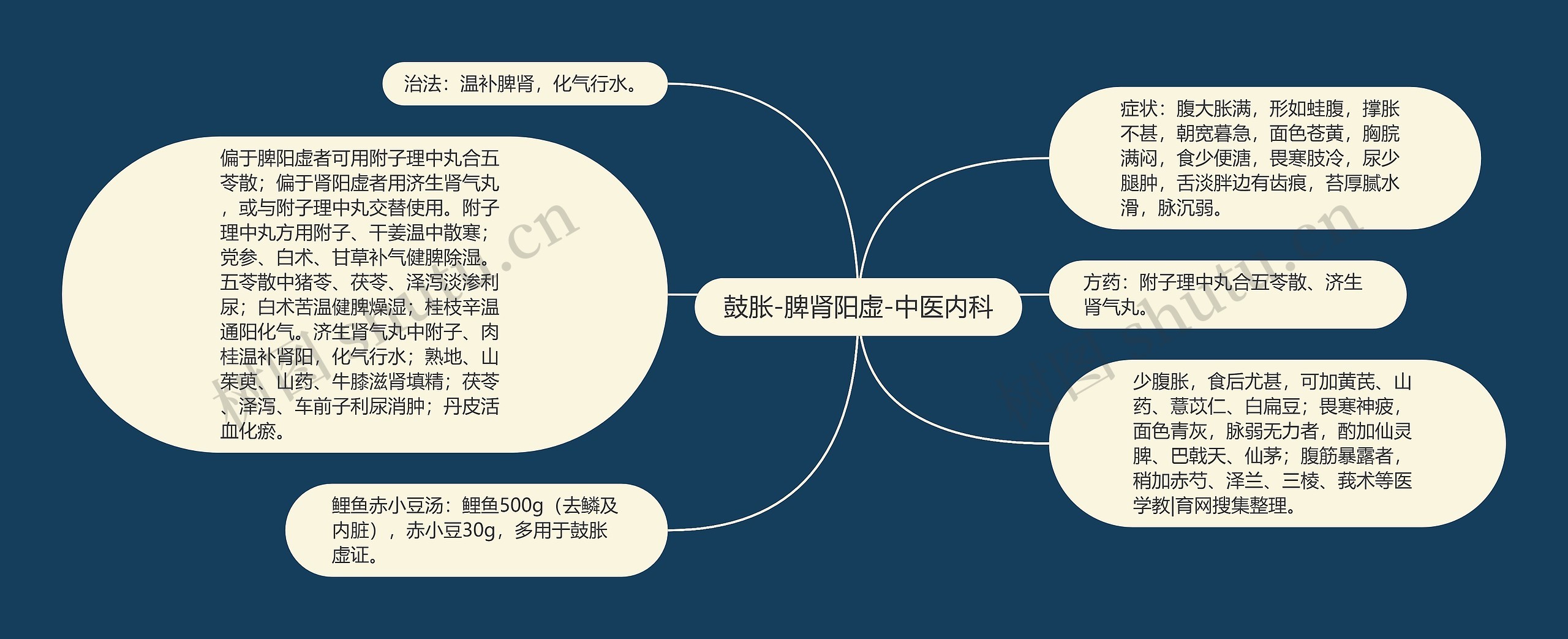 鼓胀-脾肾阳虚-中医内科思维导图