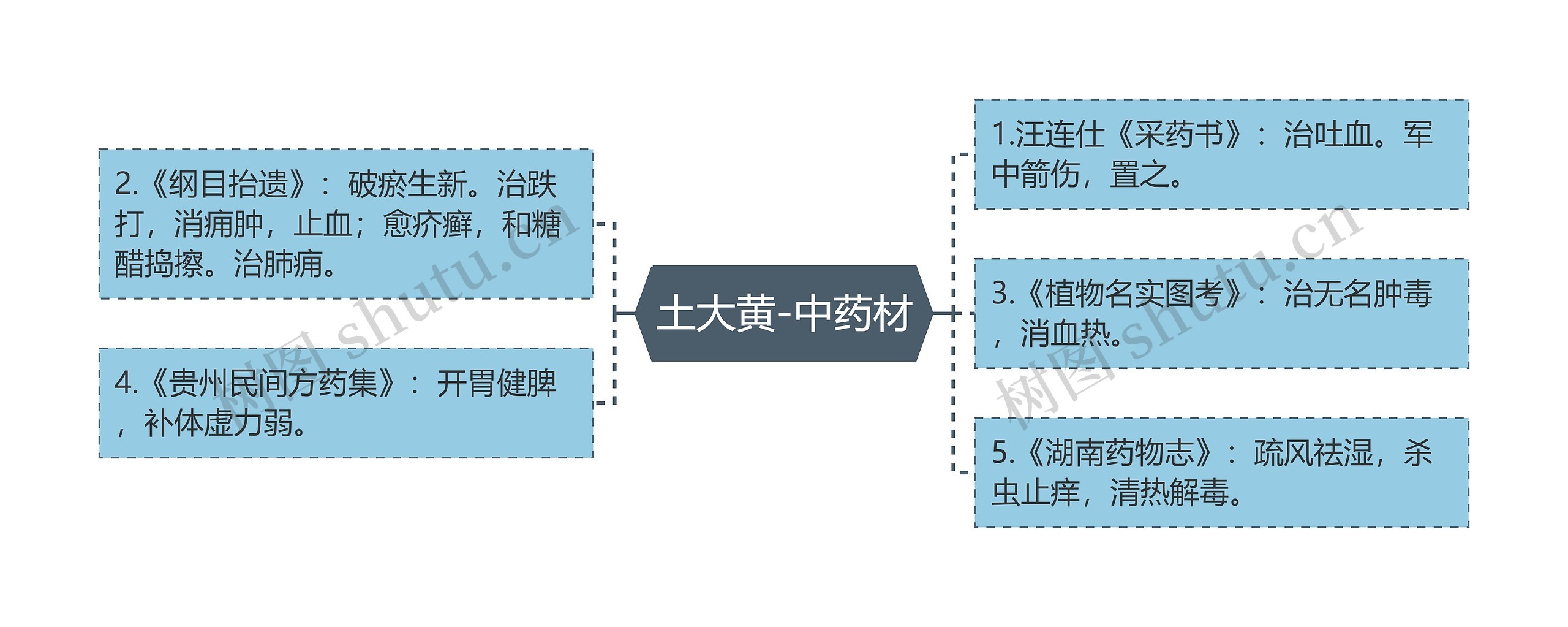 土大黄-中药材思维导图