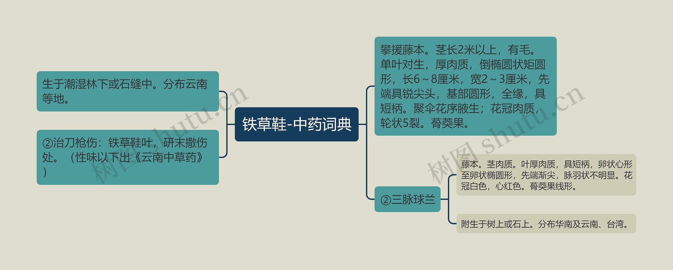 铁草鞋-中药词典思维导图