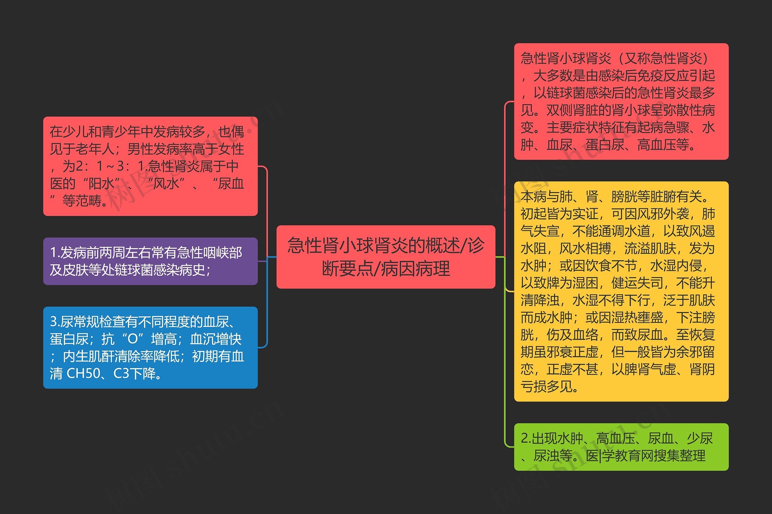 急性肾小球肾炎的概述/诊断要点/病因病理思维导图